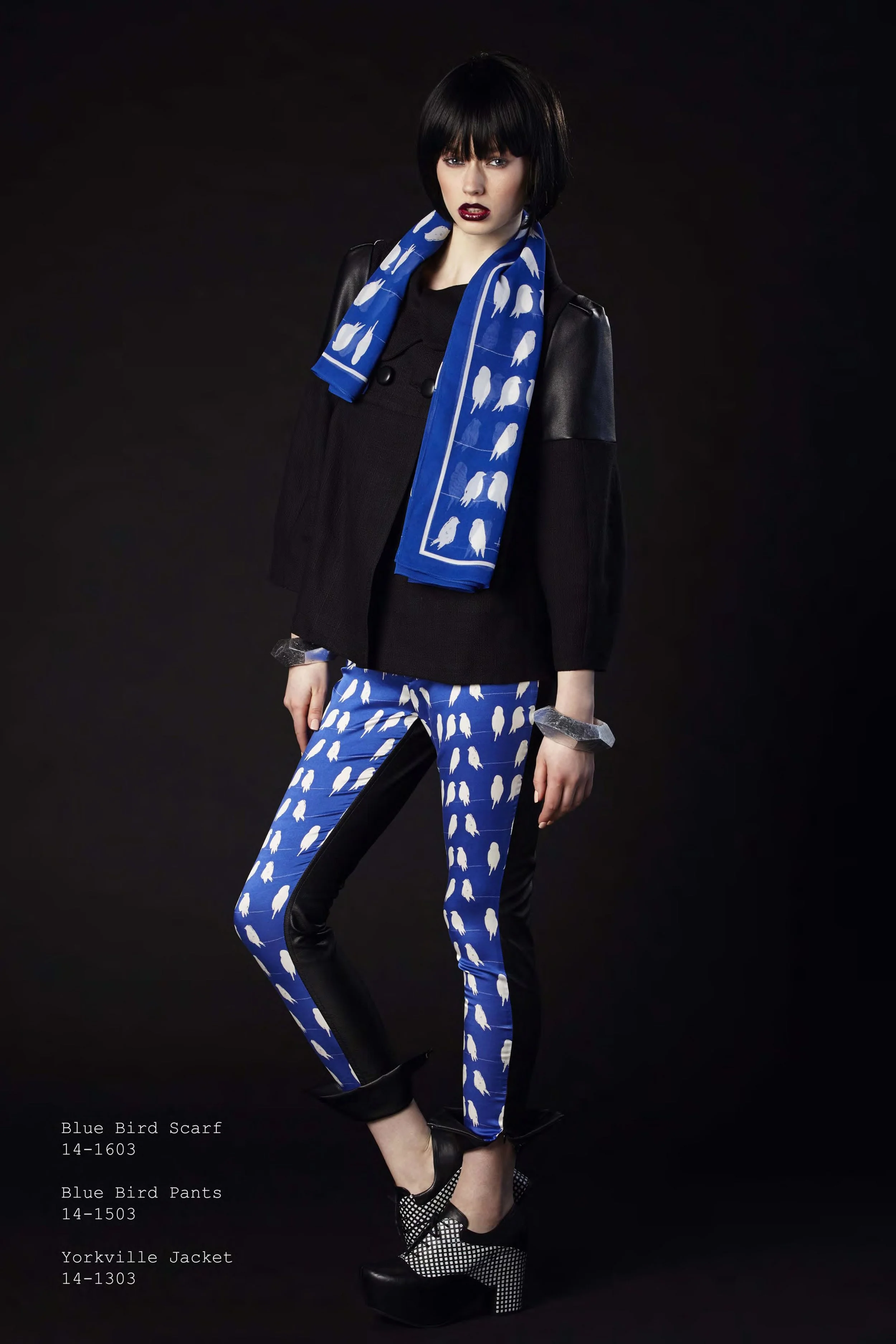Anu Raina FW2014 Low Res-18.jpg