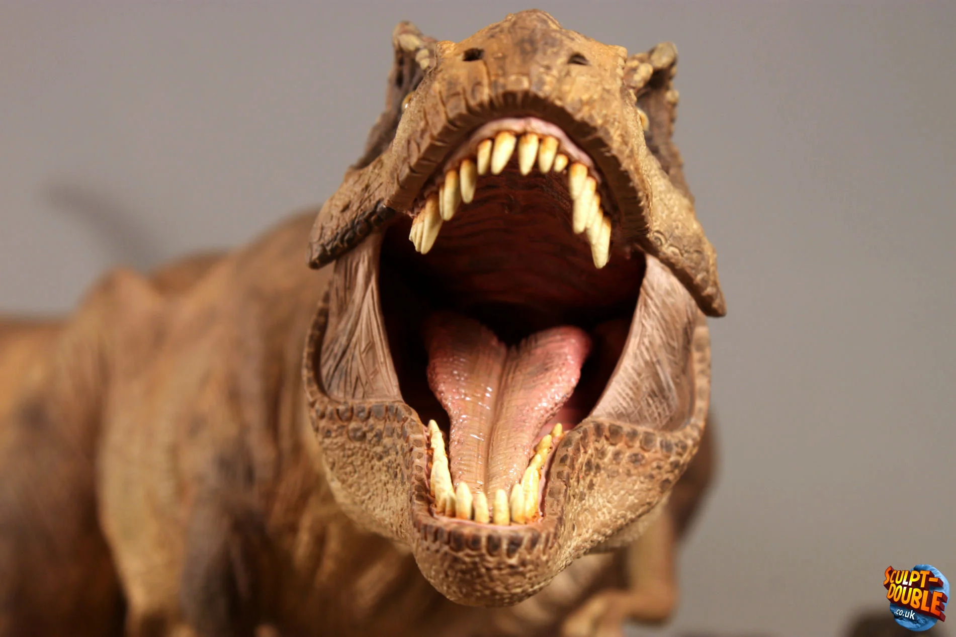 Trex04.jpg