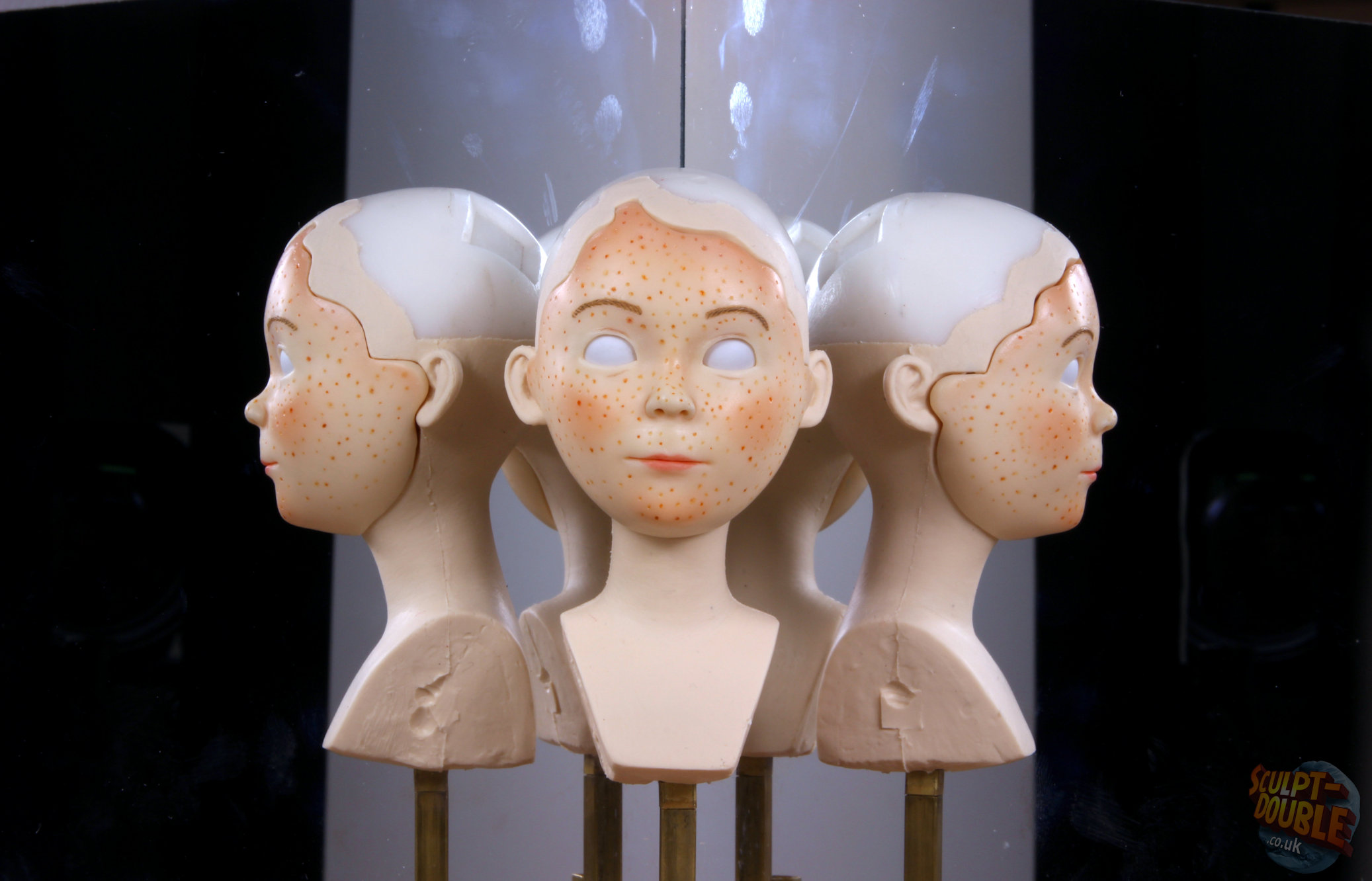 Tracy - Face Test Rig