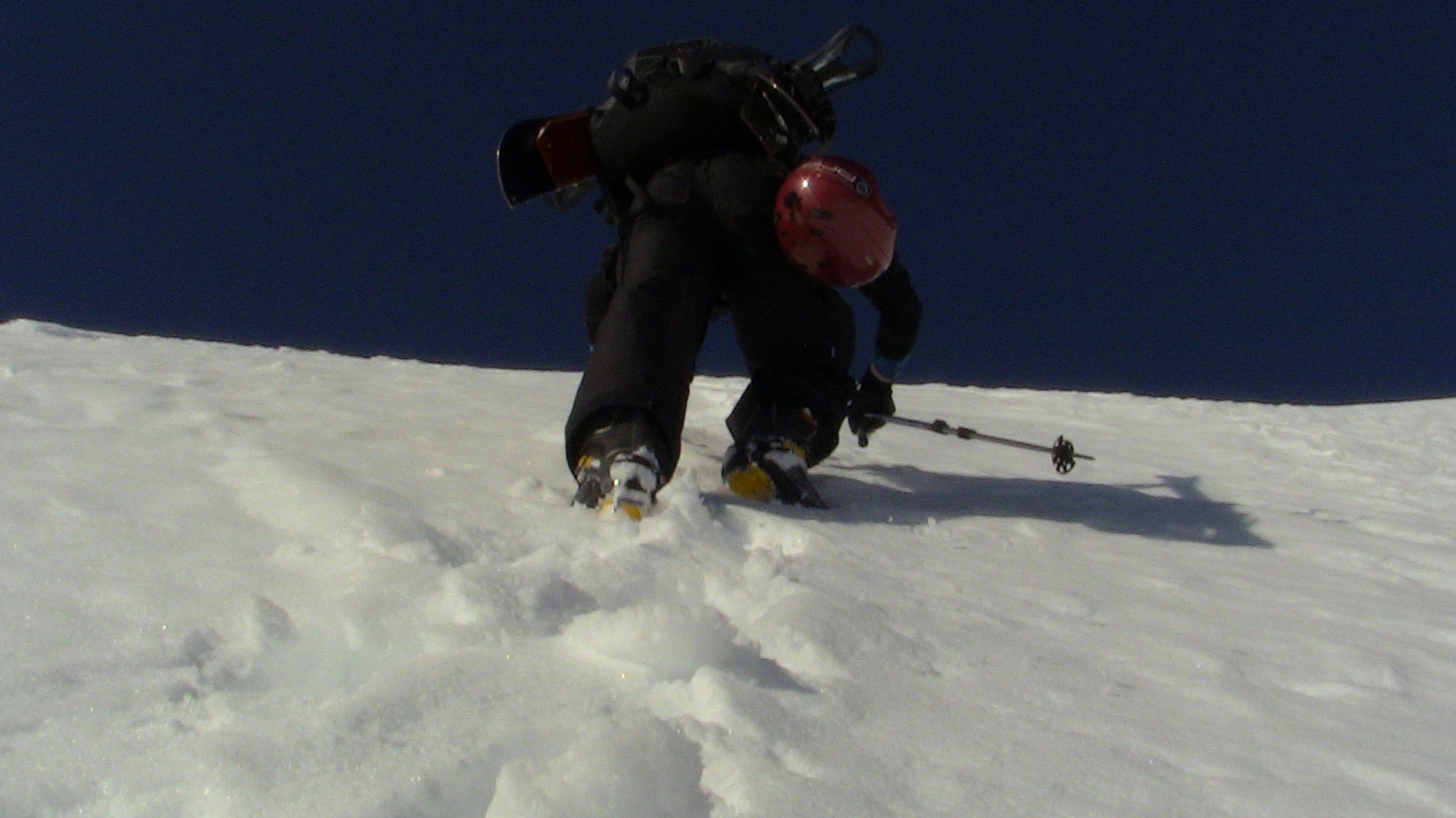 Rob on the upper face