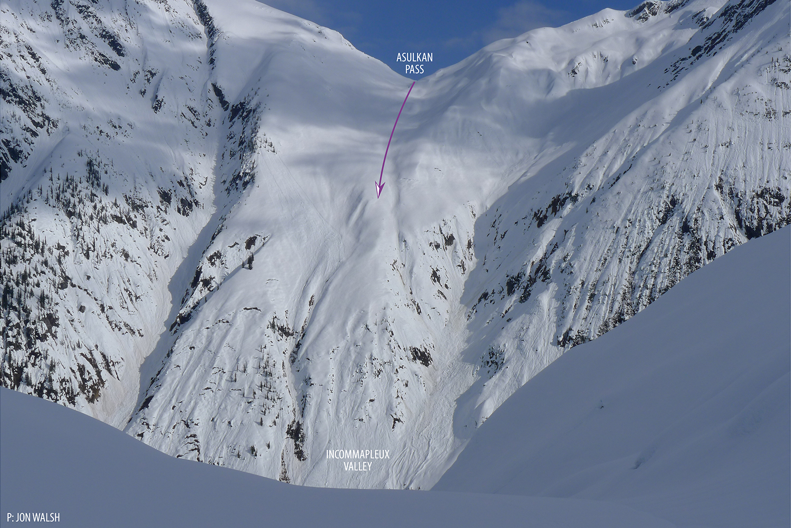 Image taken from near the toe of Dawson Glacier