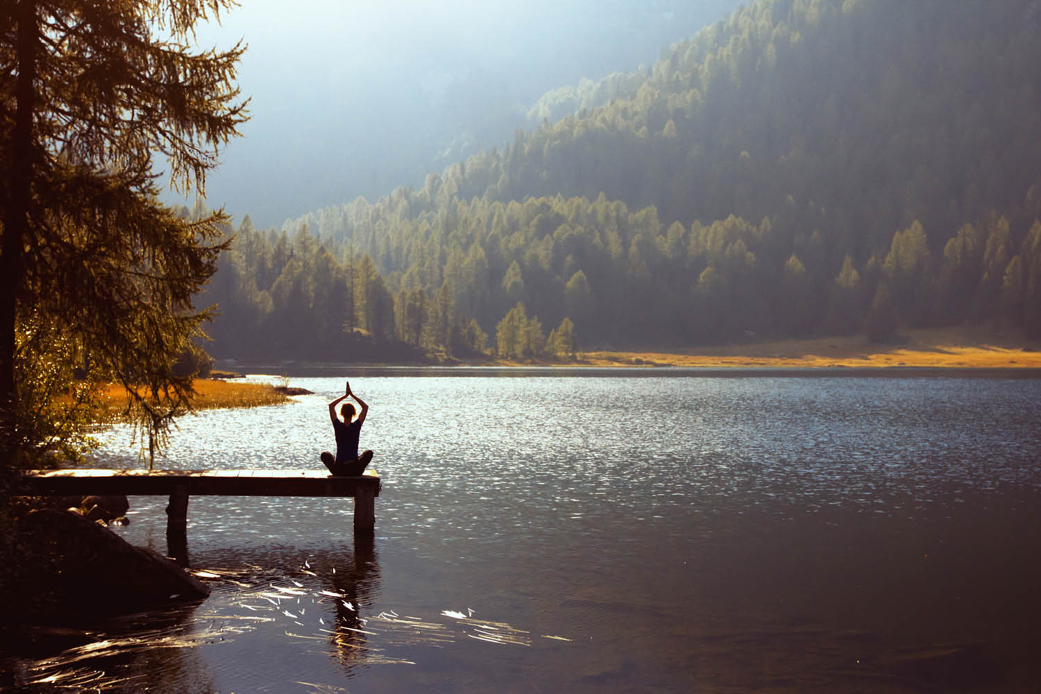 Yoga Stock SS headers8.jpg