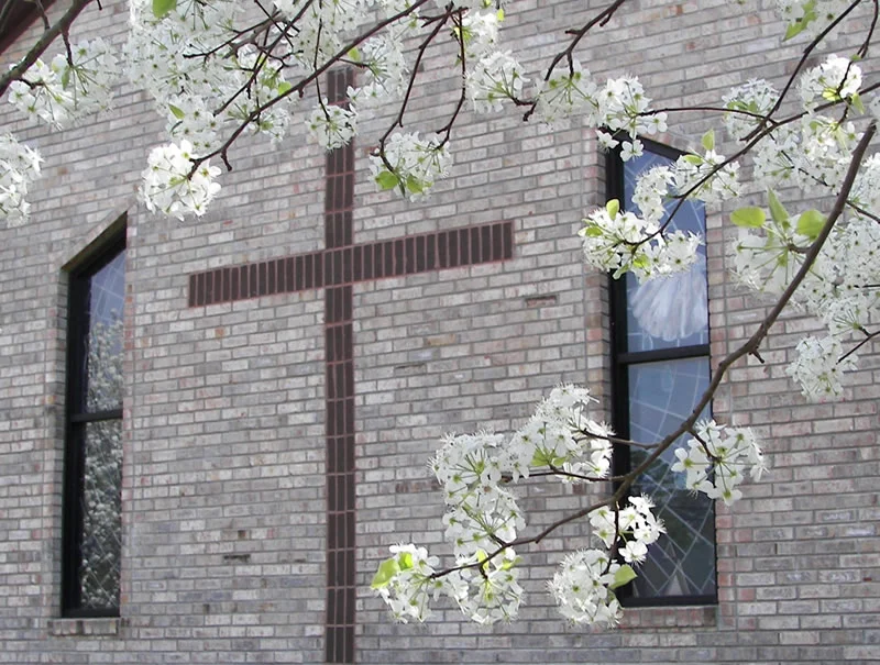 crossindogwood.jpg