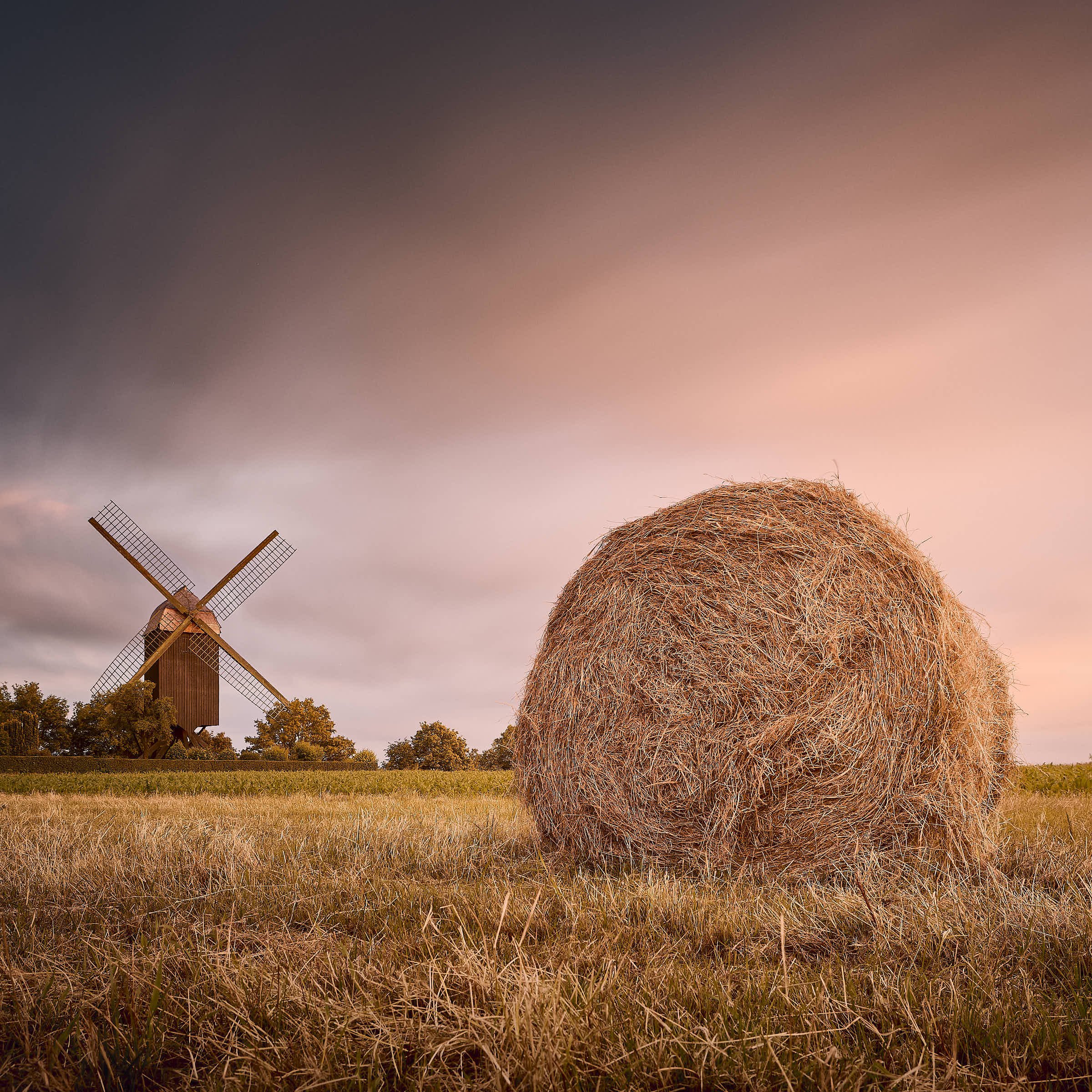 tönisberg-bockwindmühle-farbe-MG 3253-tom-wolters.jpg