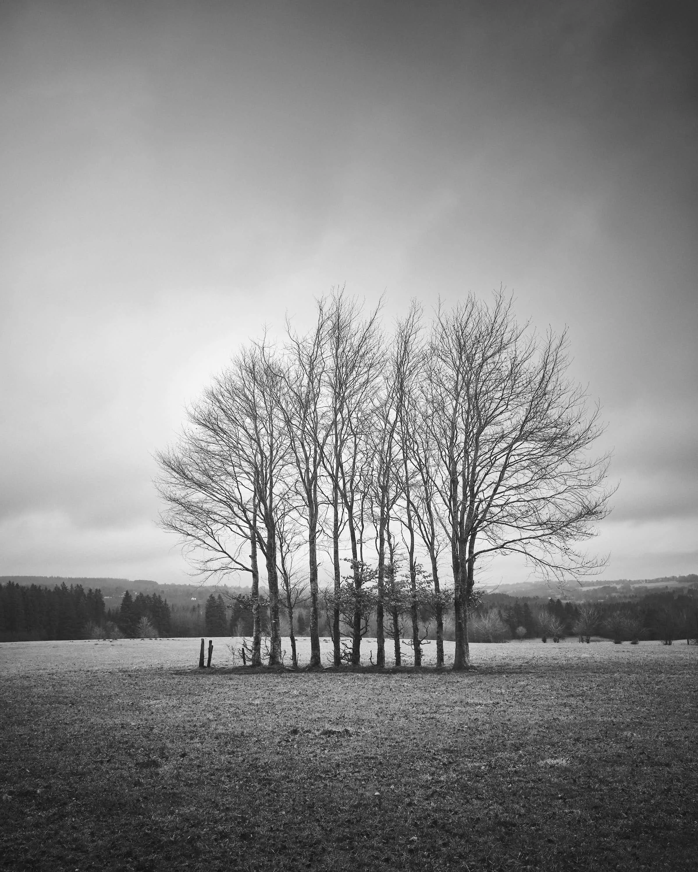 Eifel-landschaft-schwarz-weiß_DSF9813-tom-wolters.jpg