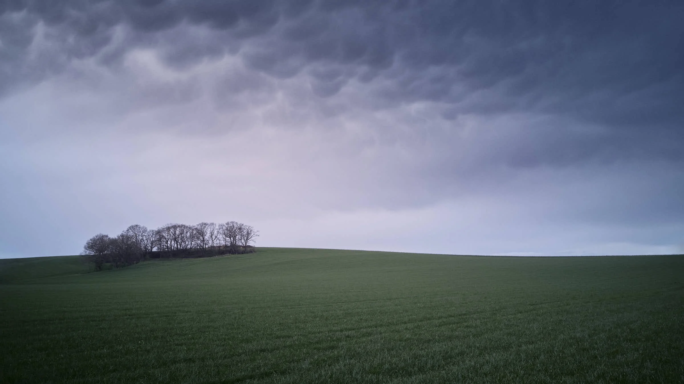 almost-home-niederrhein-landschaft-farbe-_DSF0111 1-tom-wolters.jpeg