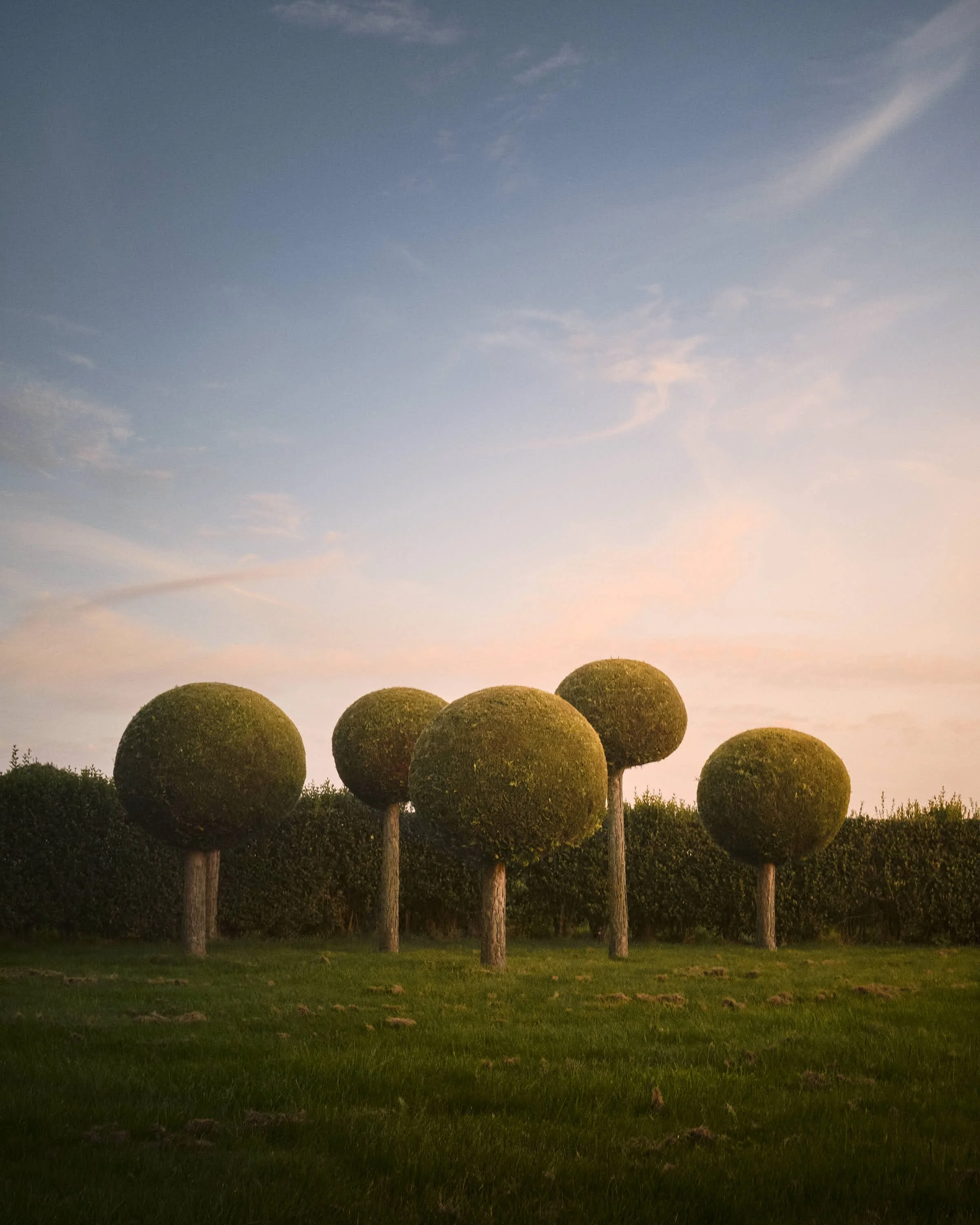 almost-home-niederrhein-landschaft-farbe-_DSF5333-tom-wolters.jpeg