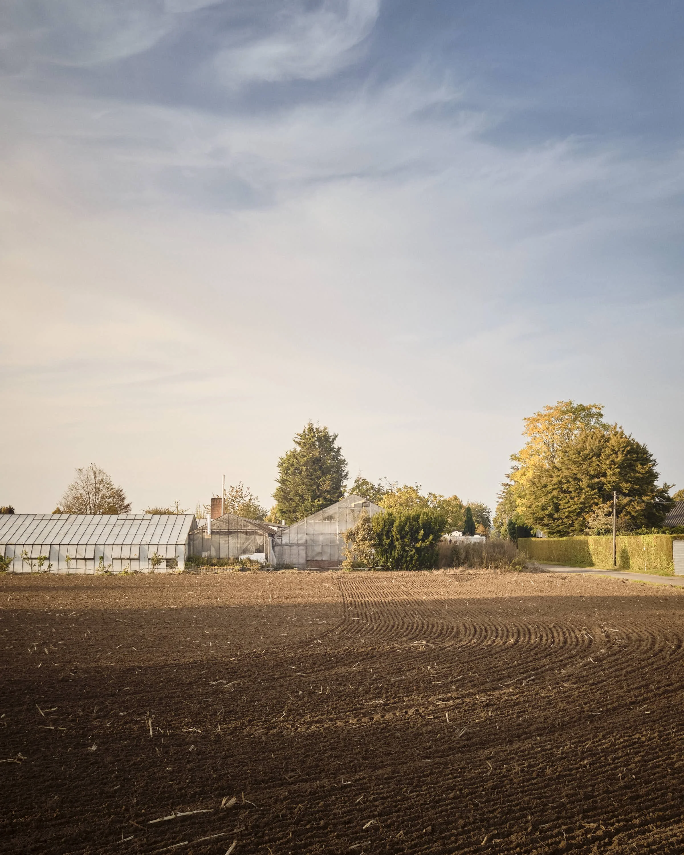 almost-home-niederrhein-landschaft-farbe-_DSF5292-tom-wolters.jpeg