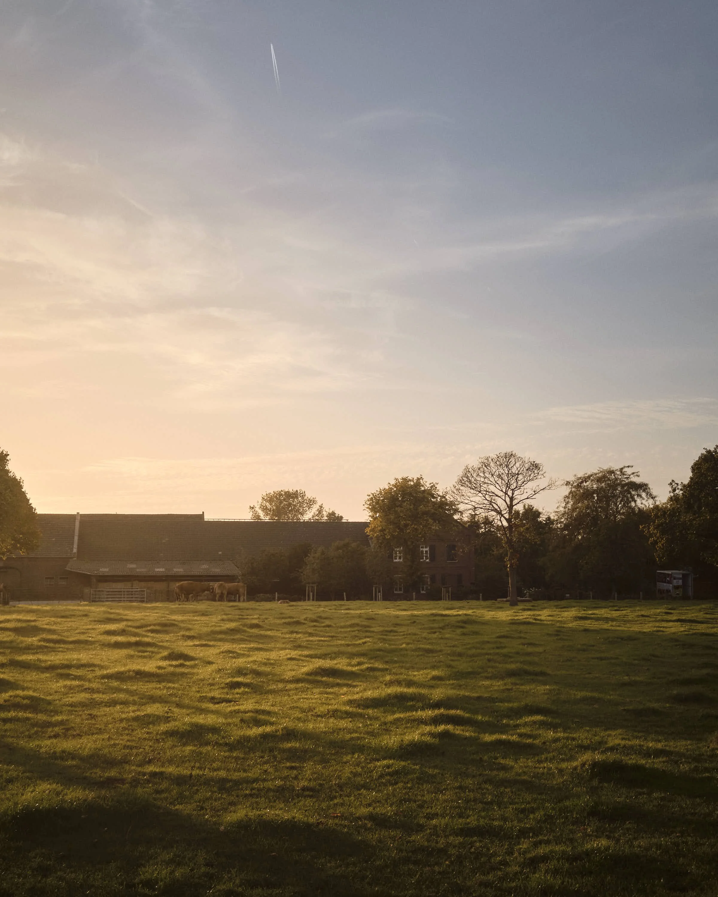 almost-home-niederrhein-landschaft-farbe-_DSF5315-tom-wolters.jpeg