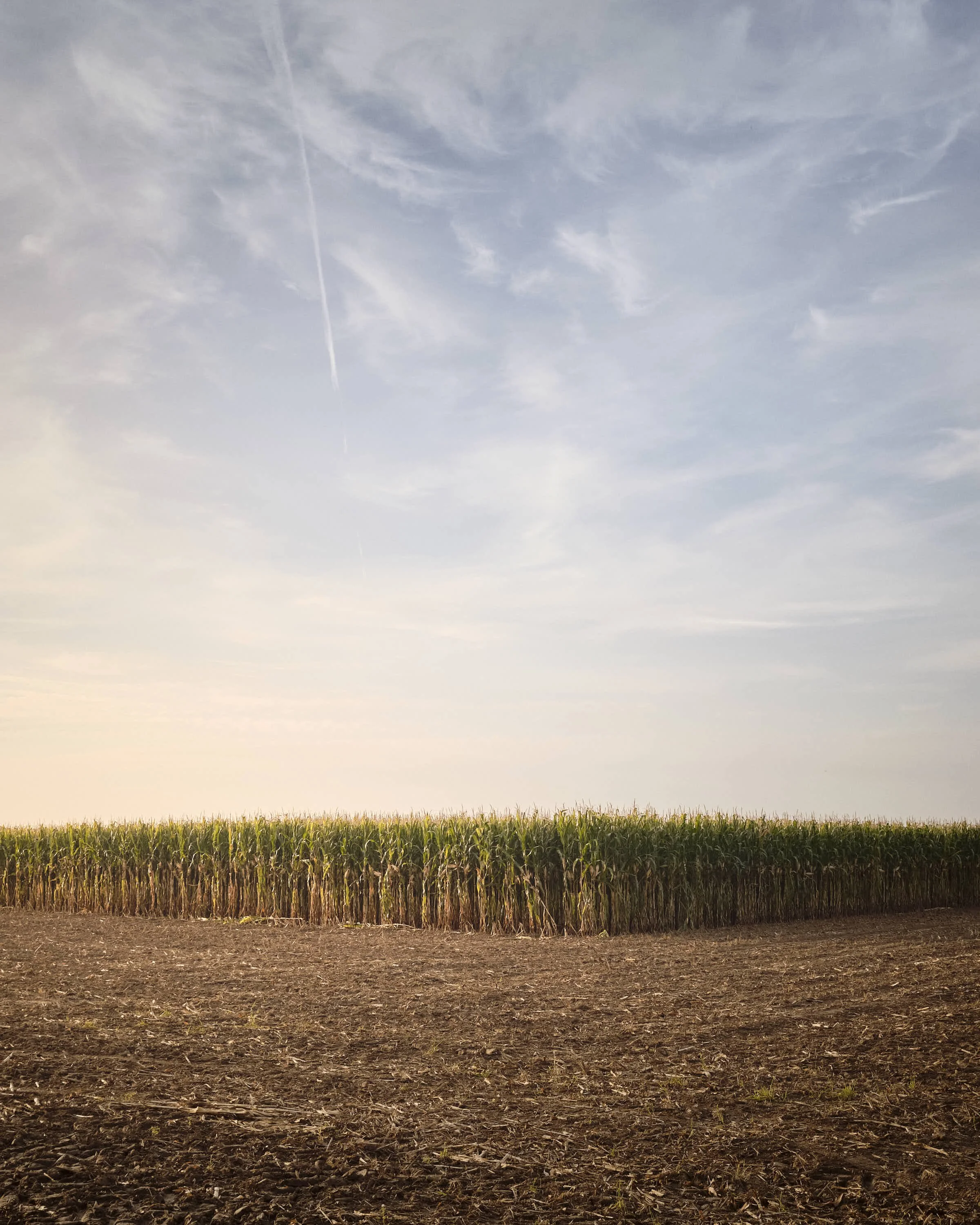 almost-home-niederrhein-landschaft-farbe-_DSF5294-tom-wolters.jpeg