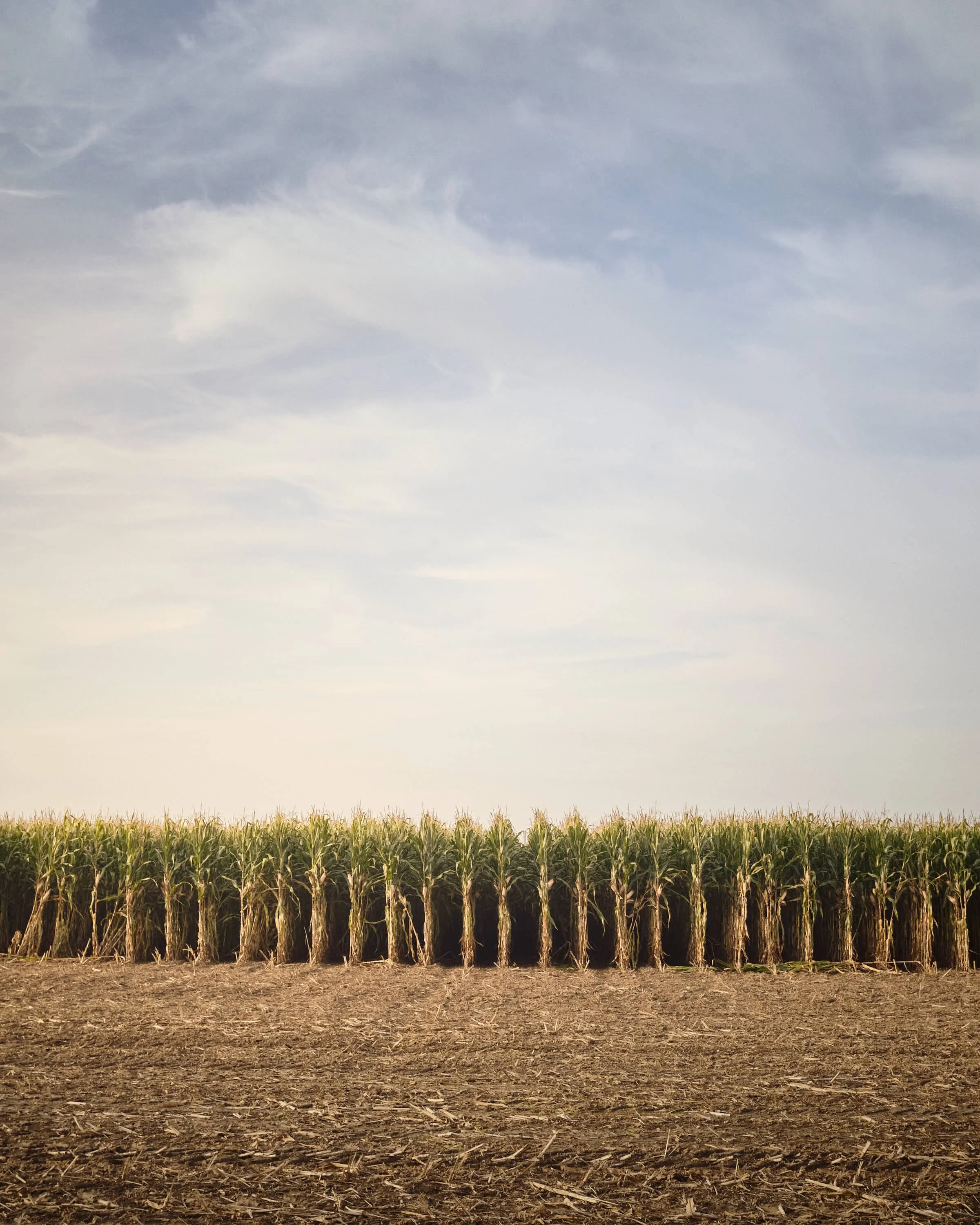almost-home-niederrhein-landschaft-farbe-_DSF5298-tom-wolters.jpeg