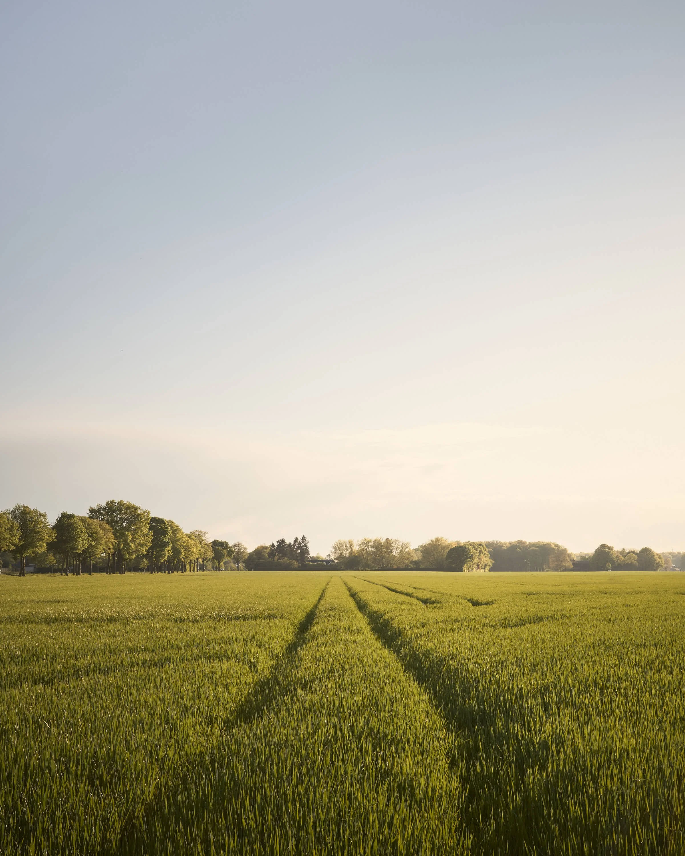 almost-home-niederrhein-landschaft-farbeDSCF5333-tom-wolters.jpg