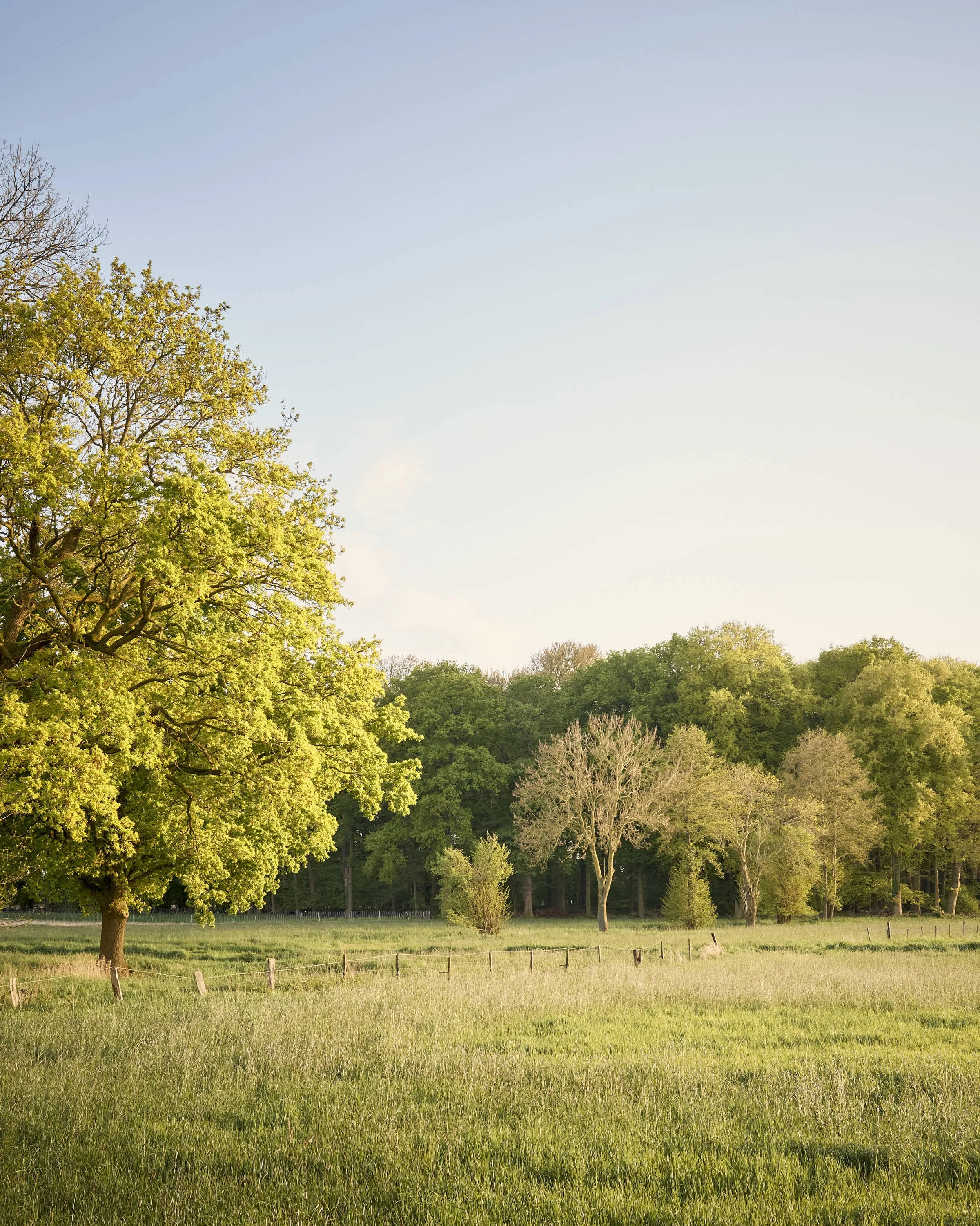 almost-home-niederrhein-landschaft-farbeDSCF5348-tom-wolters.jpg