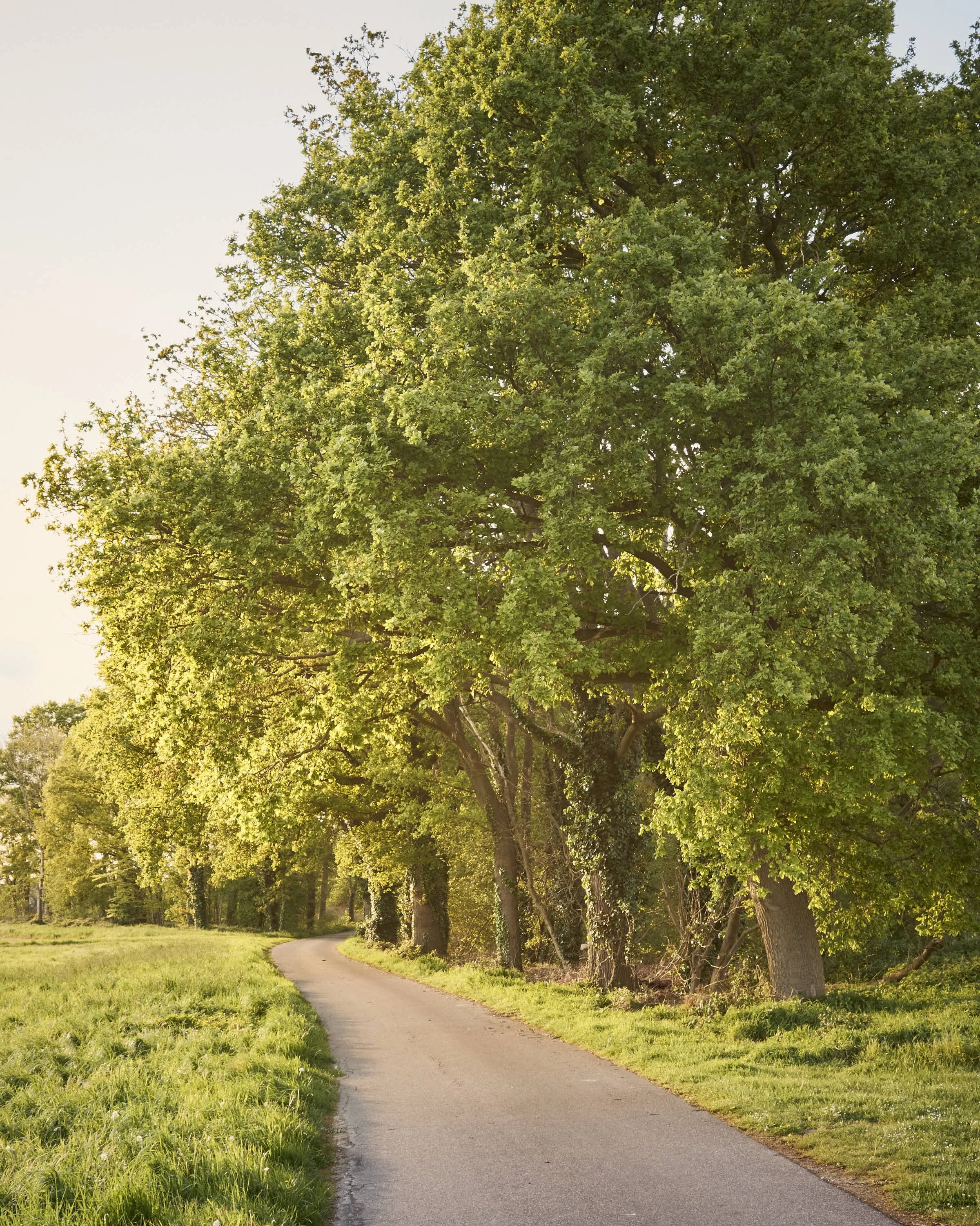 almost-home-niederrhein-landschaft-farbeDSCF5352-tom-wolters.jpg