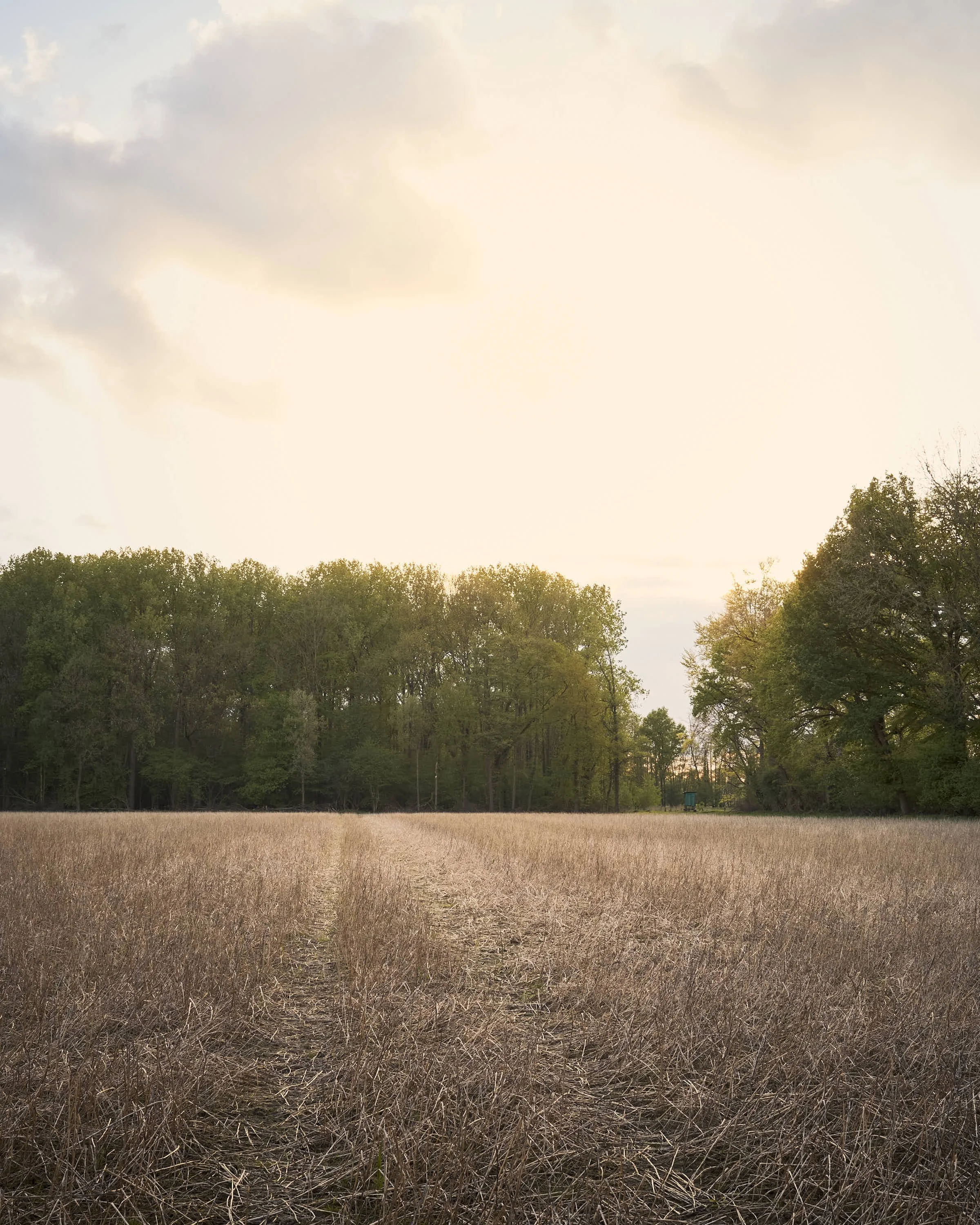 almost-home-niederrhein-landschaft-farbeDSCF5359-tom-wolters.jpg