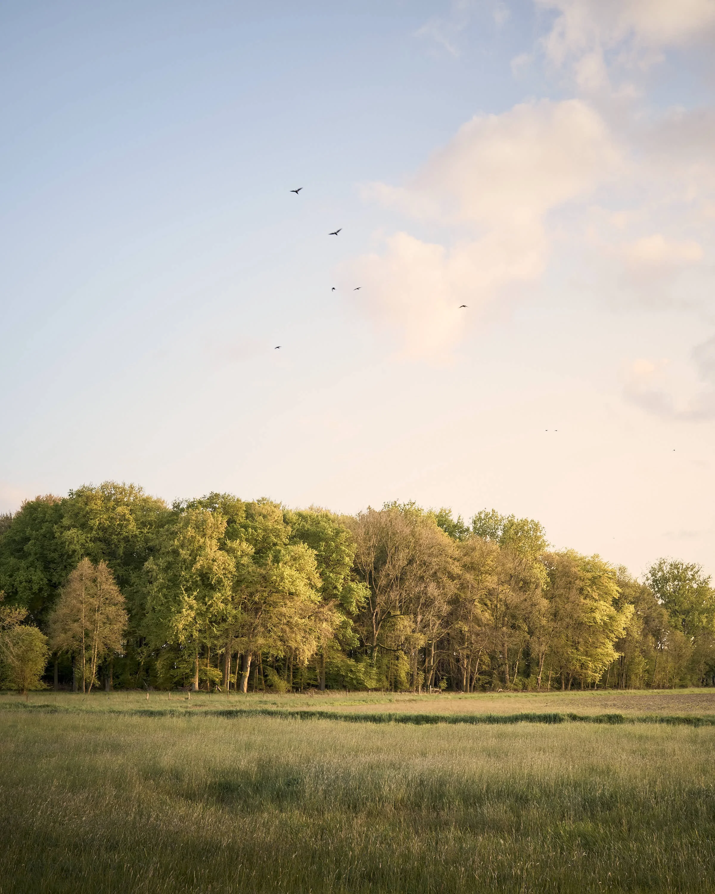 almost-home-niederrhein-landschaft-farbeDSCF5379-tom-wolters.jpg