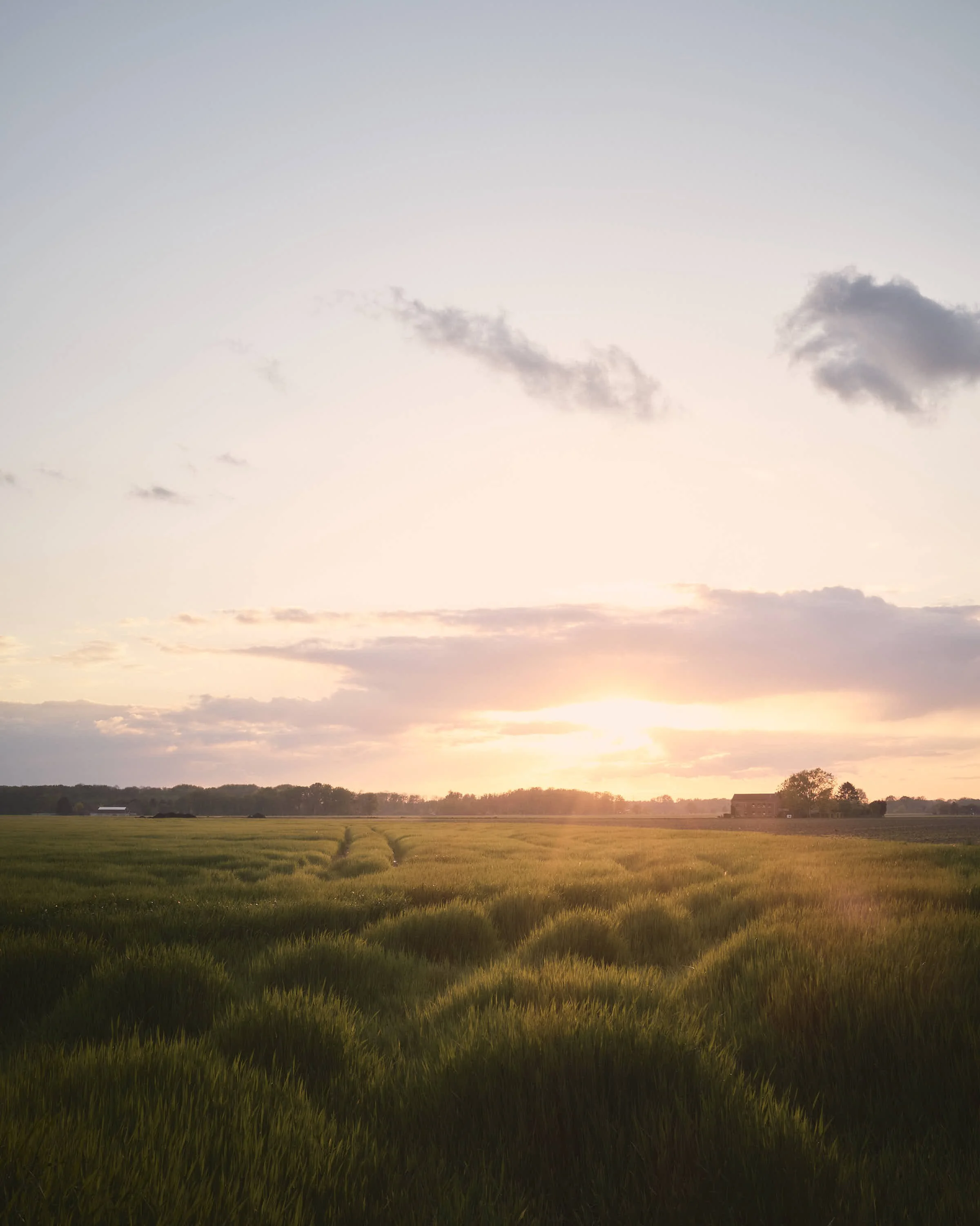 almost-home-niederrhein-landschaft-farbeDSCF5388-tom-wolters.jpg