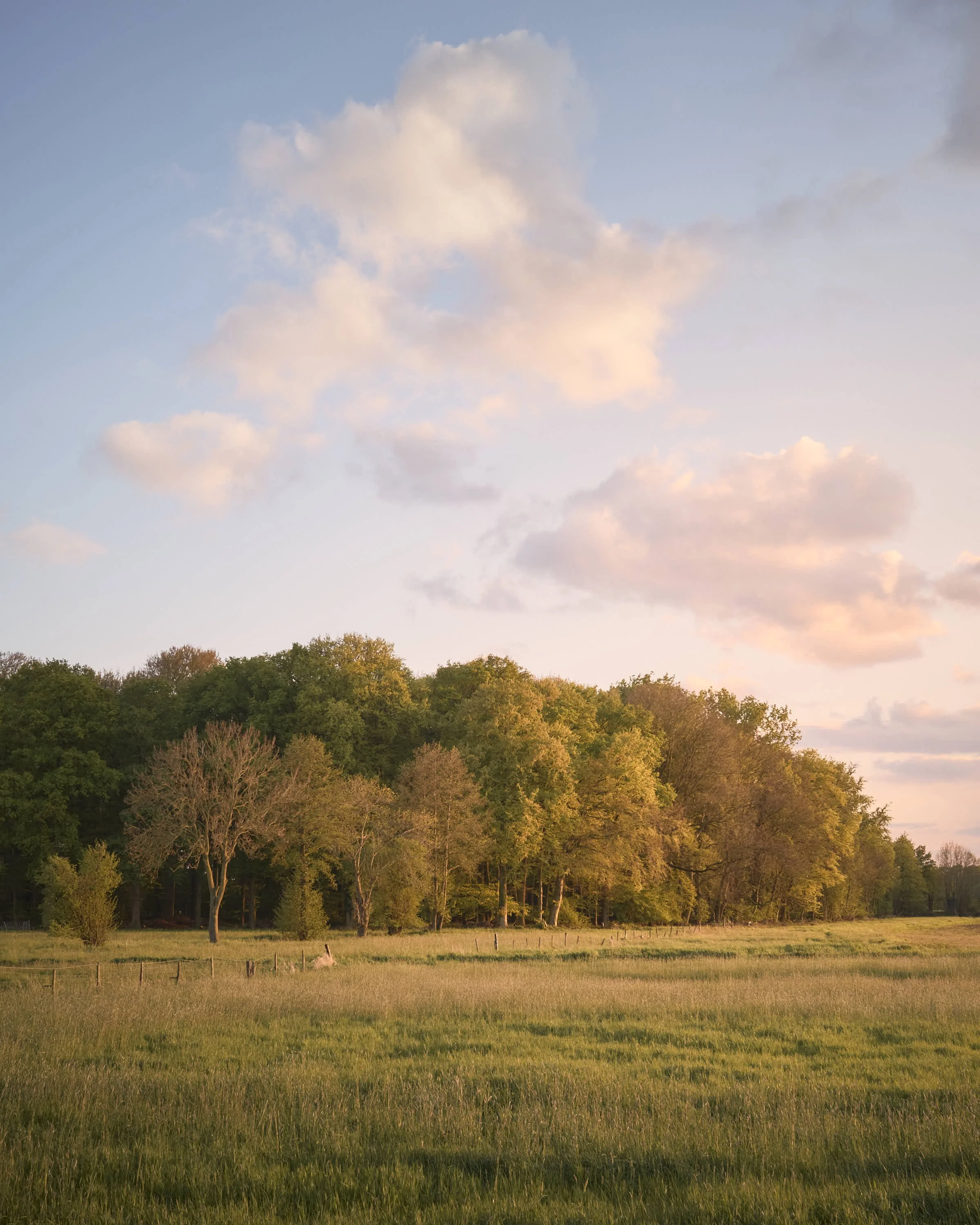 almost-home-niederrhein-landschaft-farbeDSCF5386-tom-wolters.jpg