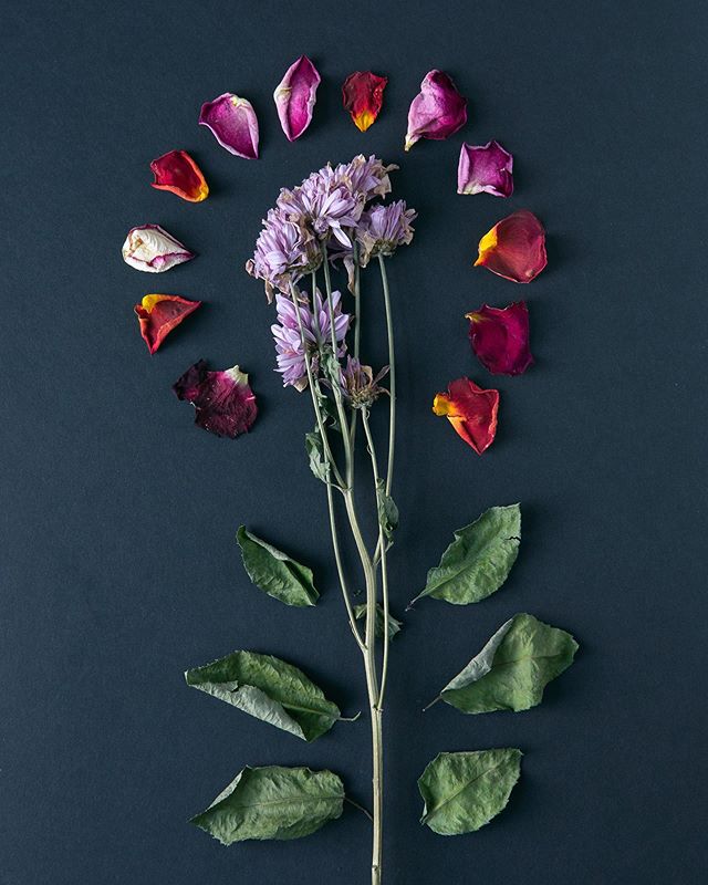 I encourage any organization to maintain a collection of abstract images that are brand aligned but do not market anything, like this lovely display of flowers. They are great accompaniments to communication pieces that are sensitive in nature&mdash;