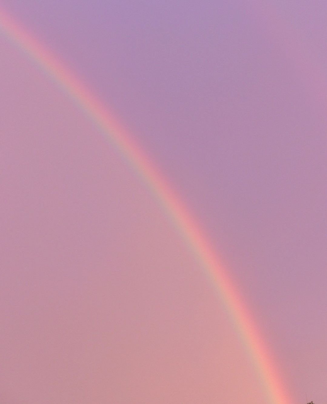 Some Pride month reflections from your friendly local queer biz owner 🏳️&zwj;🌈⁠
⁠
I've been out &amp; proud for nearly two decades (crazy to think it's been two-thirds of my life!) and somehow, the celebration only gets sweeter with time. Maybe it'