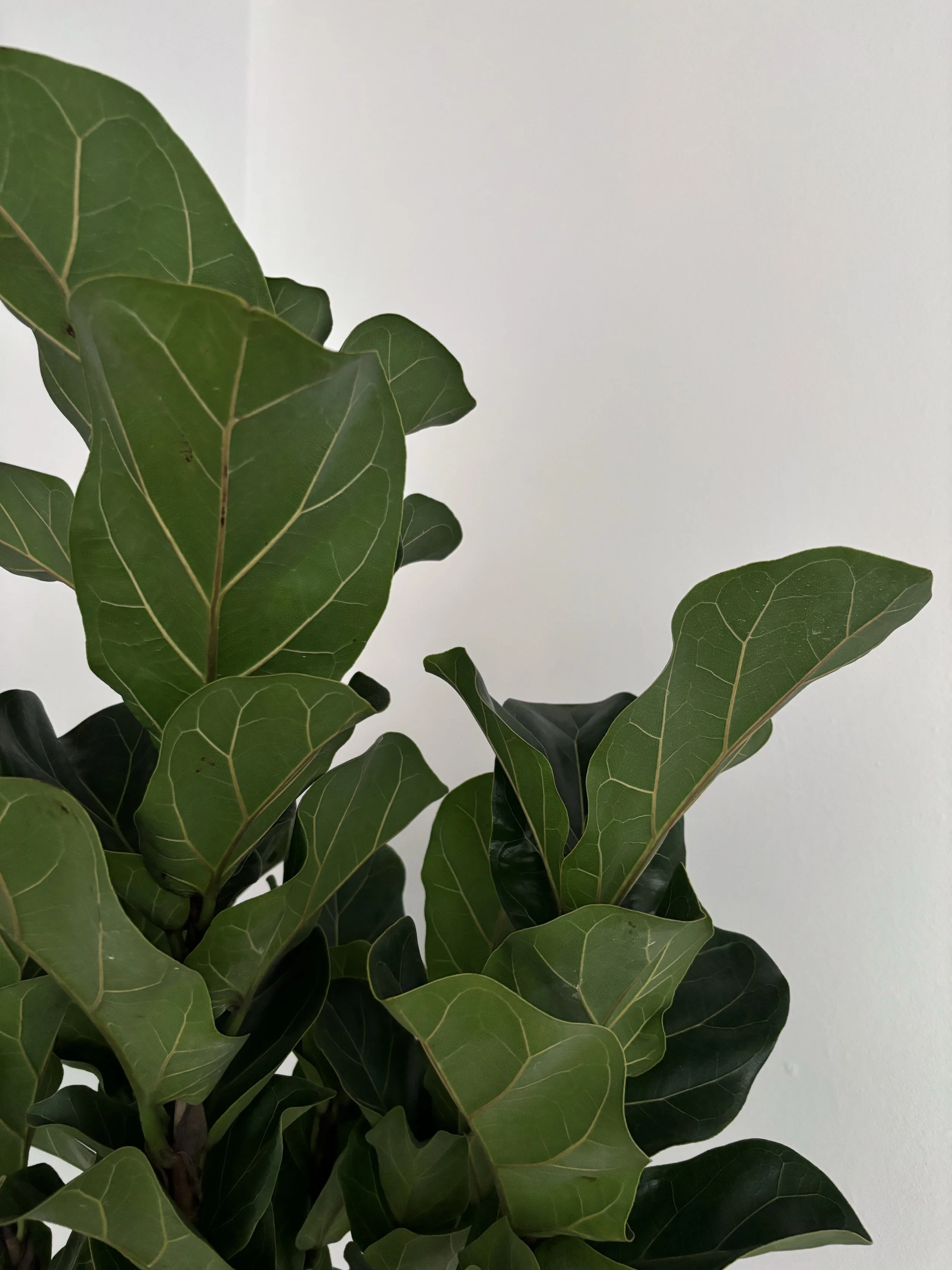 Popular Business Marketing Tips From 2025 - Our Most Read Blog Posts