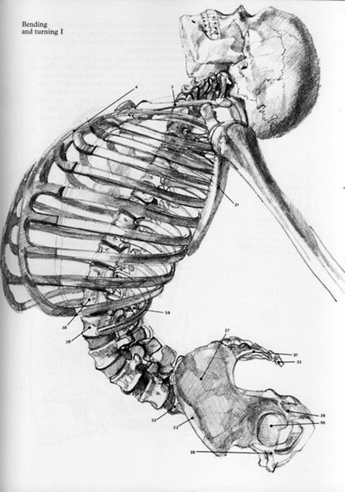 Heal Your Back