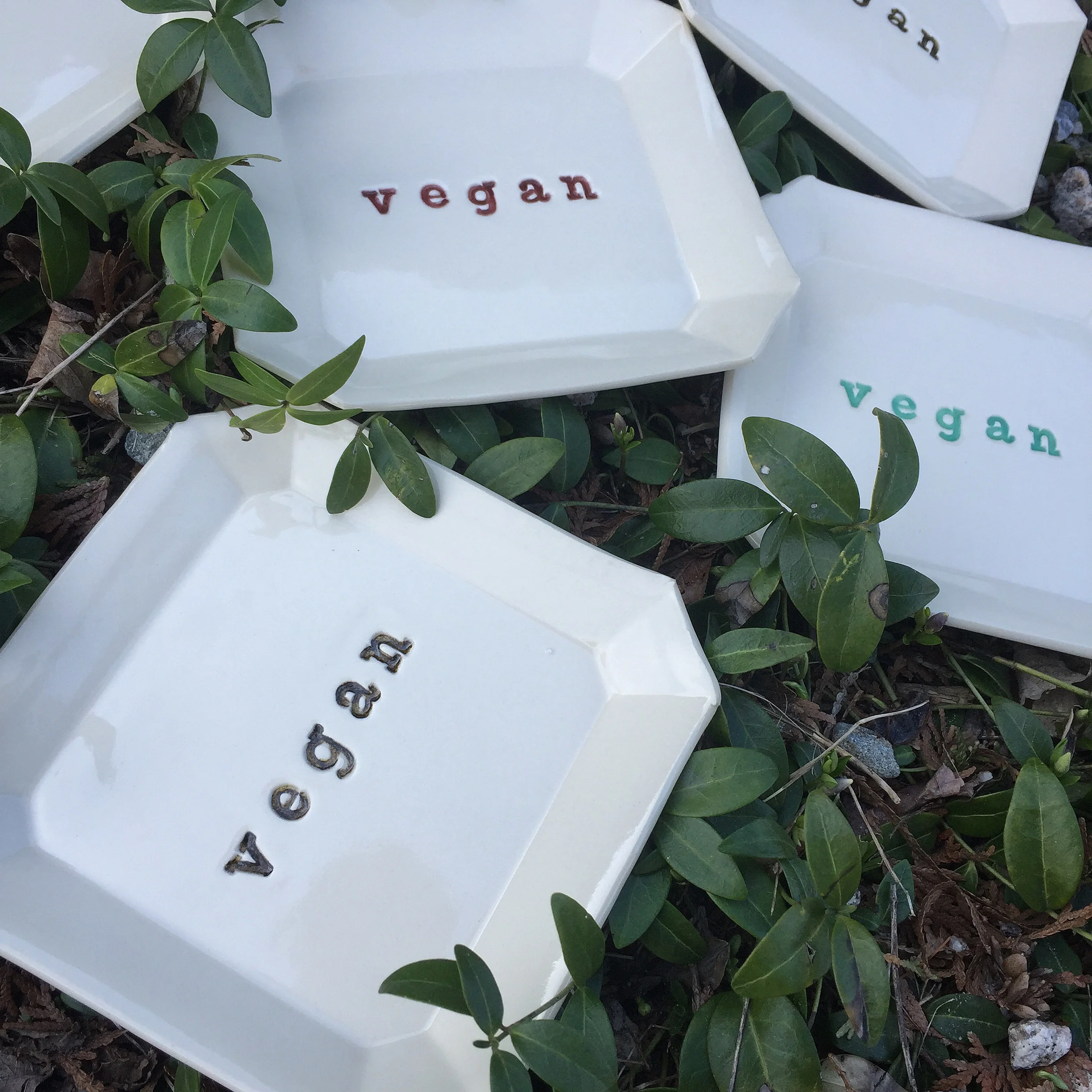 Vegan Plates Square