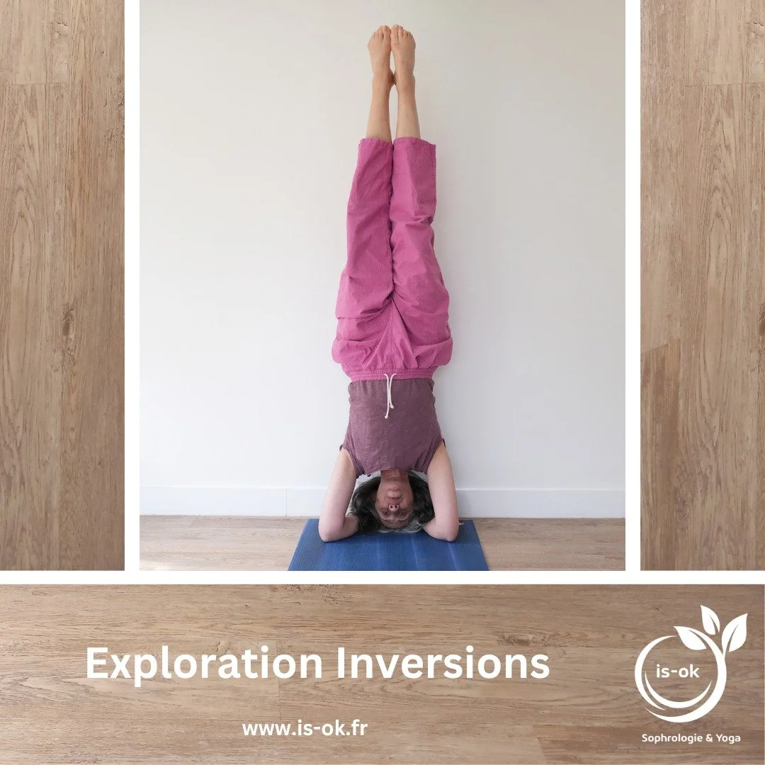 ATELIERS MENSUELS

Que vous soyez pratiquant r&eacute;gulier ou occasionnel,

vous &ecirc;tes les bienvenus dans ces ateliers en petits groupes, hors forfait, &agrave; r&eacute;server &agrave; l&rsquo;unit&eacute;, sans engagement :

Relaxation / M&e