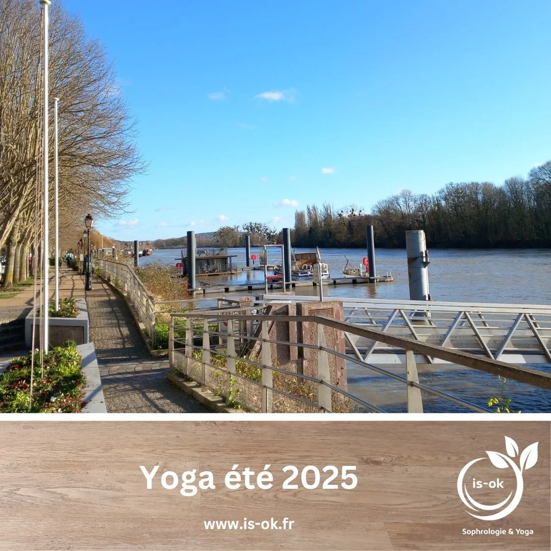 Je vous propose de continuer &agrave; pratiquer tout l'&eacute;t&eacute; &agrave; Conflans Sainte Honorine dans mon espace, baies vitr&eacute;es grandes ouvertes si le temps le permet.
Vous pratiquez &agrave; votre rythme, sans engagement, r&eacute;s