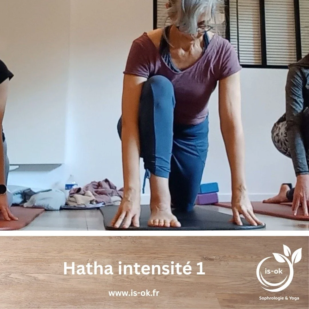 HATHA INTENSIT&Eacute; 1 - POUR TOUS

Ce cours est un des cours les plus fr&eacute;quent&eacute;s car :
- les mouvements sont lents, pr&eacute;cis, ressentis, associ&eacute;s &agrave; la respiration
- la congruence des articulations est recherch&eacu