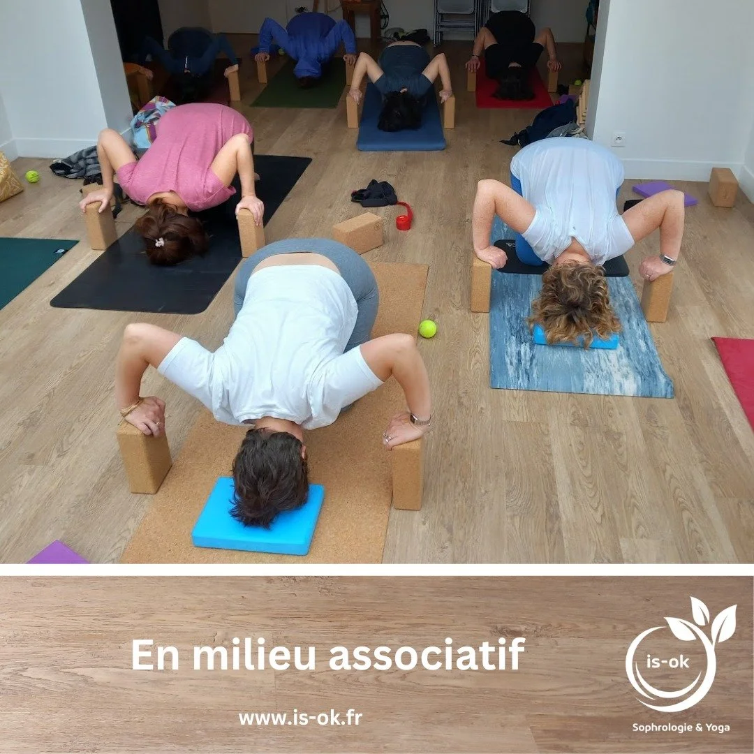 Une intervention r&eacute;guli&egrave;re au sein d'une association peut / devrait se planifier avec quelques mois d'avance.
En septembre, je serai disponible en semaine les apr&egrave;s midis, en soir&eacute;e le mardi et vendredi, ainsi que le samed