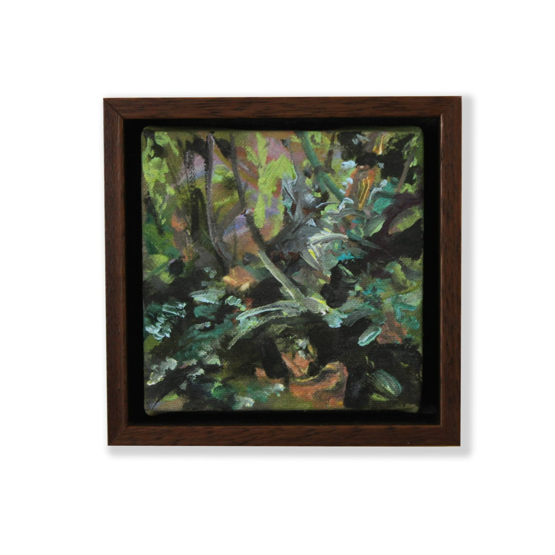 Thomas+Flyn+II_undergrowth_15x10x0.25_Archival_web2.jpg
