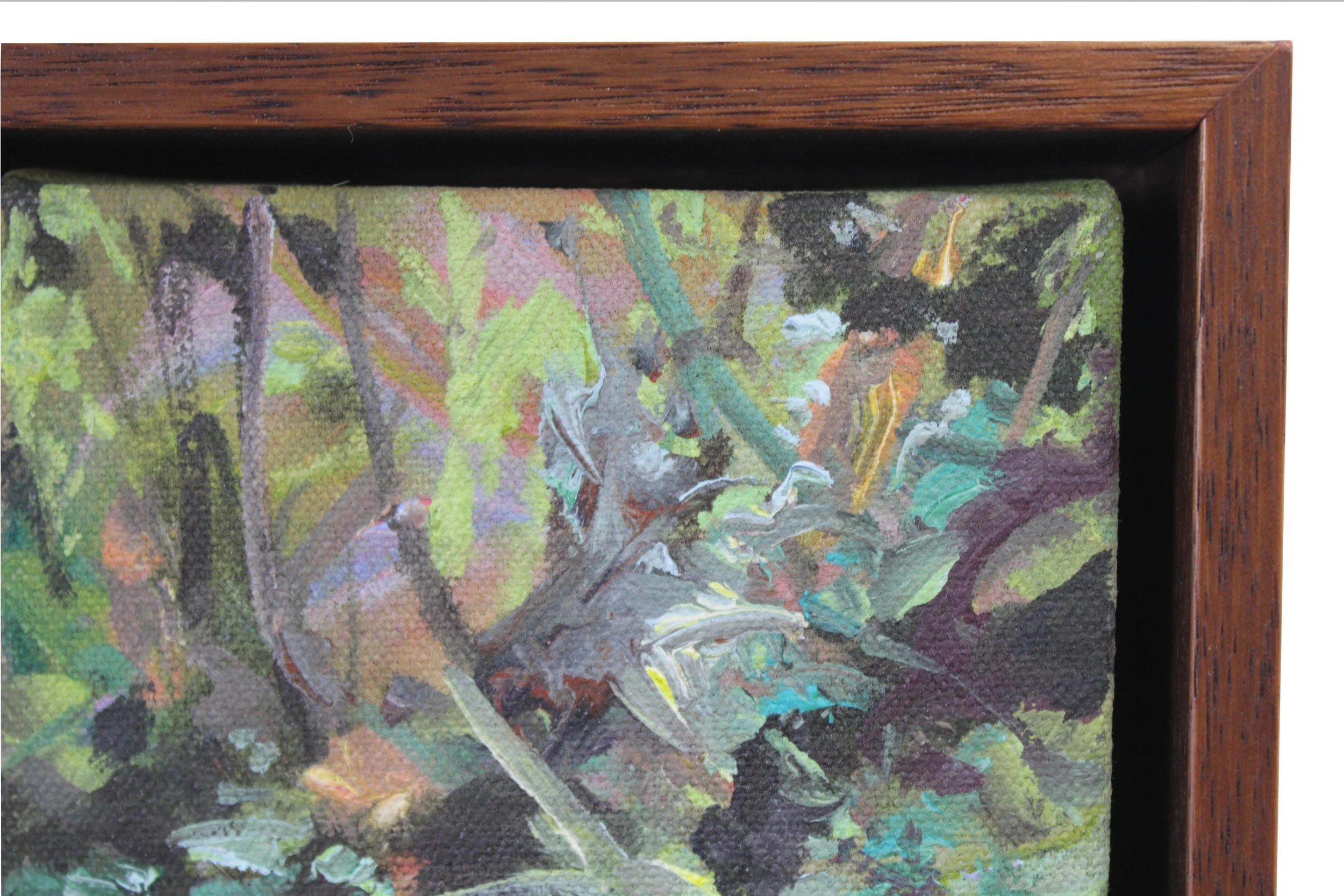 Thomas Flynn ll_Undergrowth_15x10x0.25_Web.jpg_detail.jpg