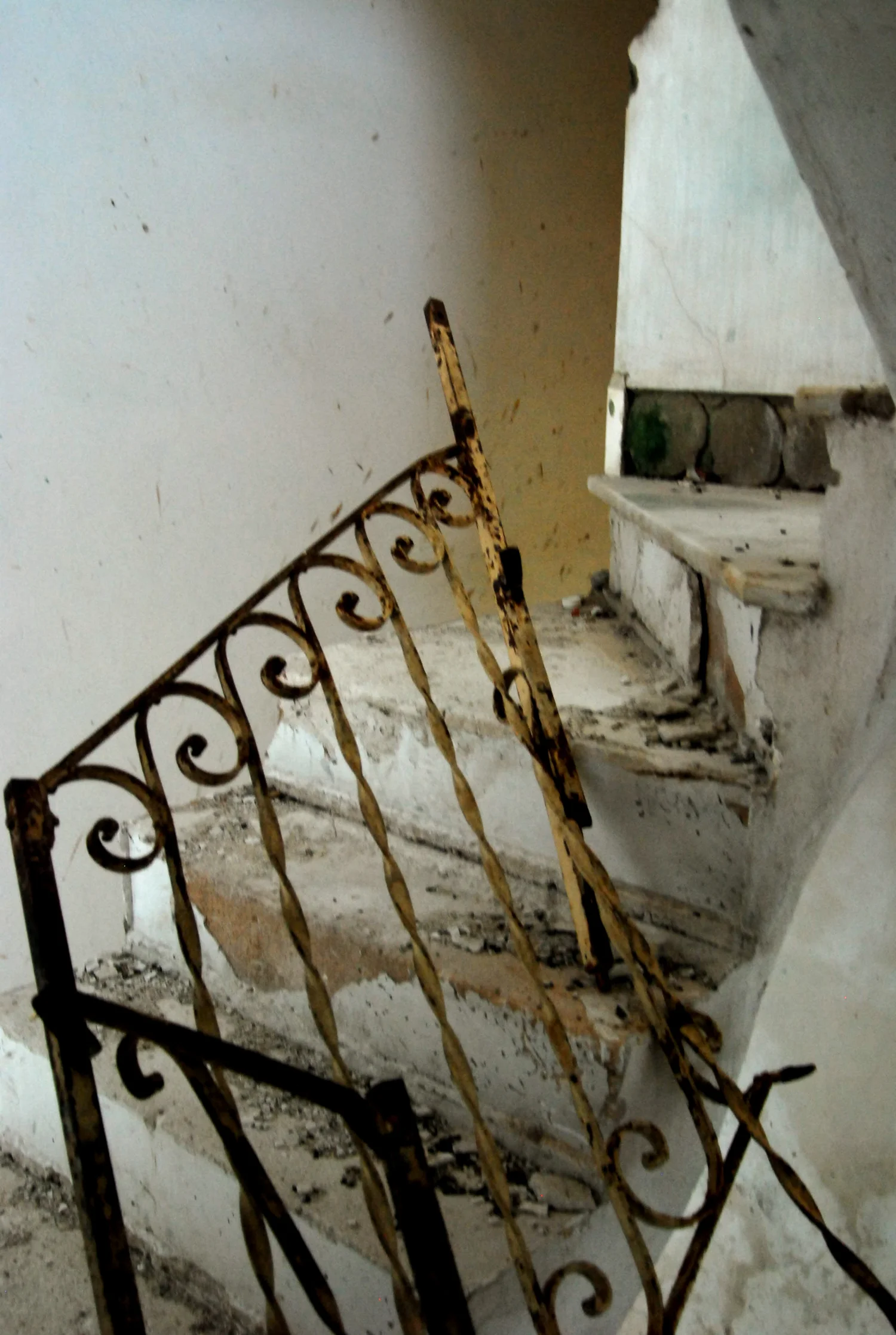 20071102-DSC_0294.jpg