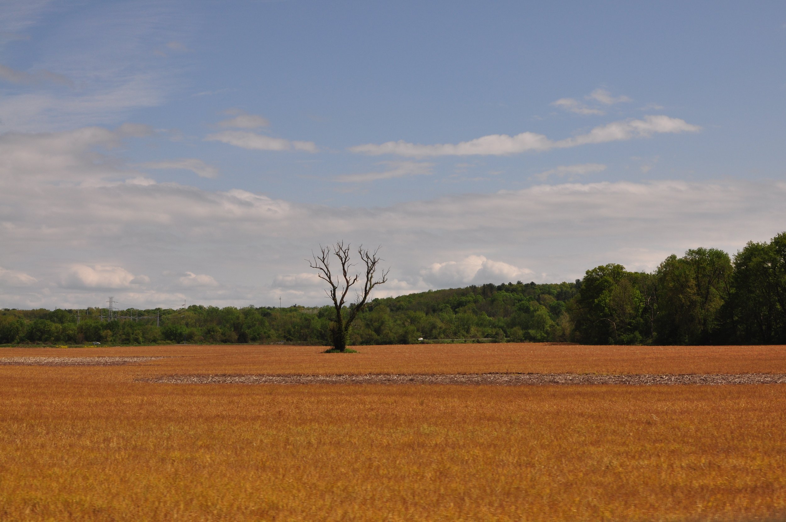 DSC_0006.JPG