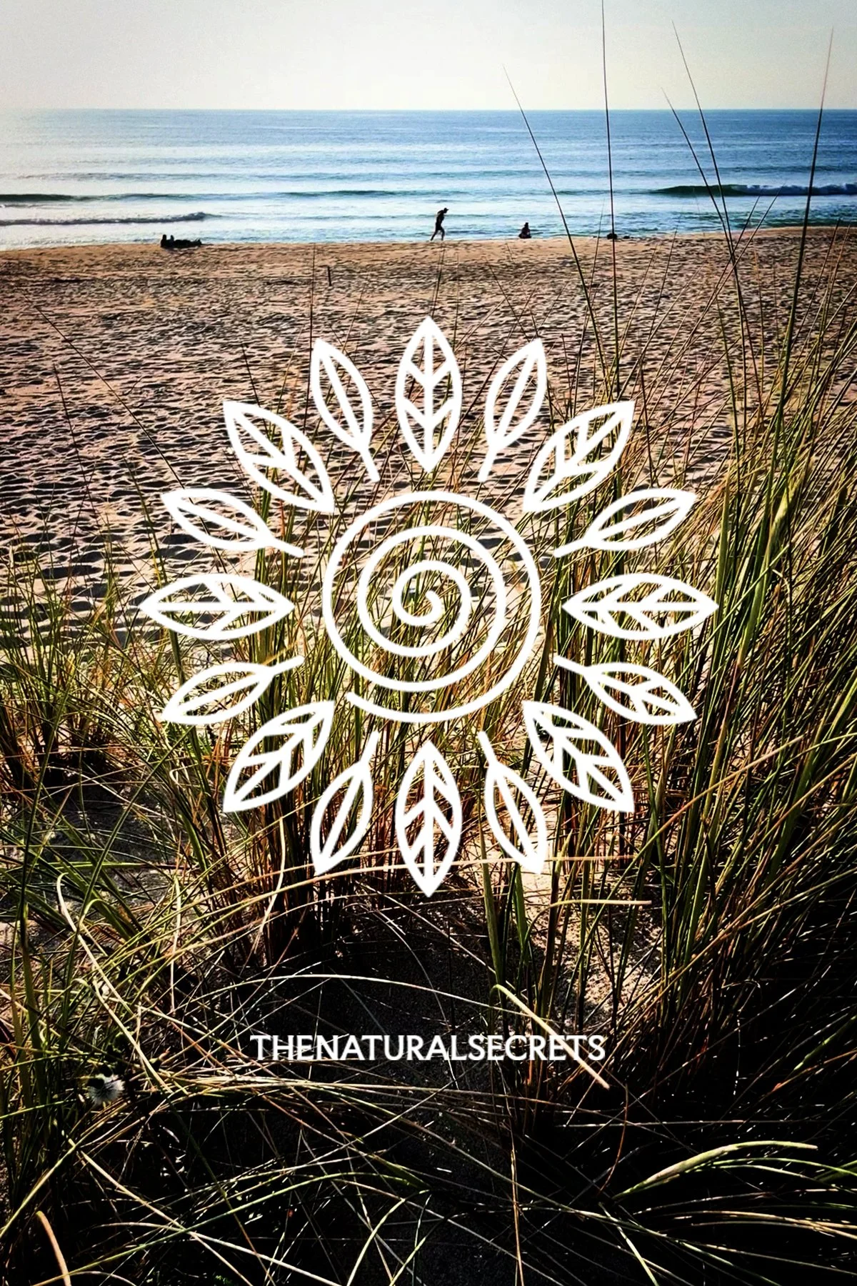 The-Natural-Secrets-Vienna-Rob-Adalierd-Brand-Advisor-Emocion-Graphics-2025-Potugal-PT-Consultor-de-marca-Criativo-Art-Creeative-Director-Design.jpg