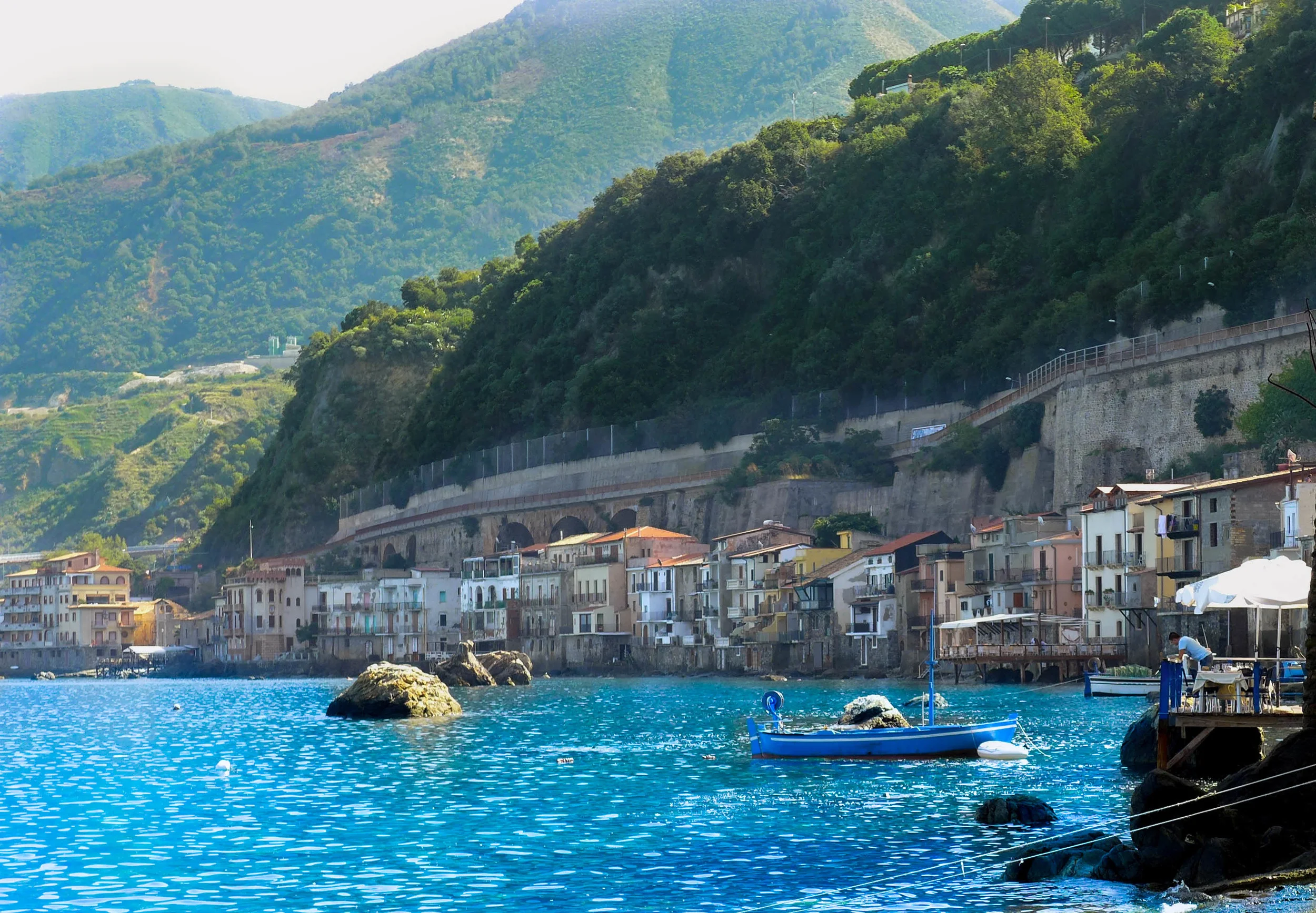 scilla_rt.jpg