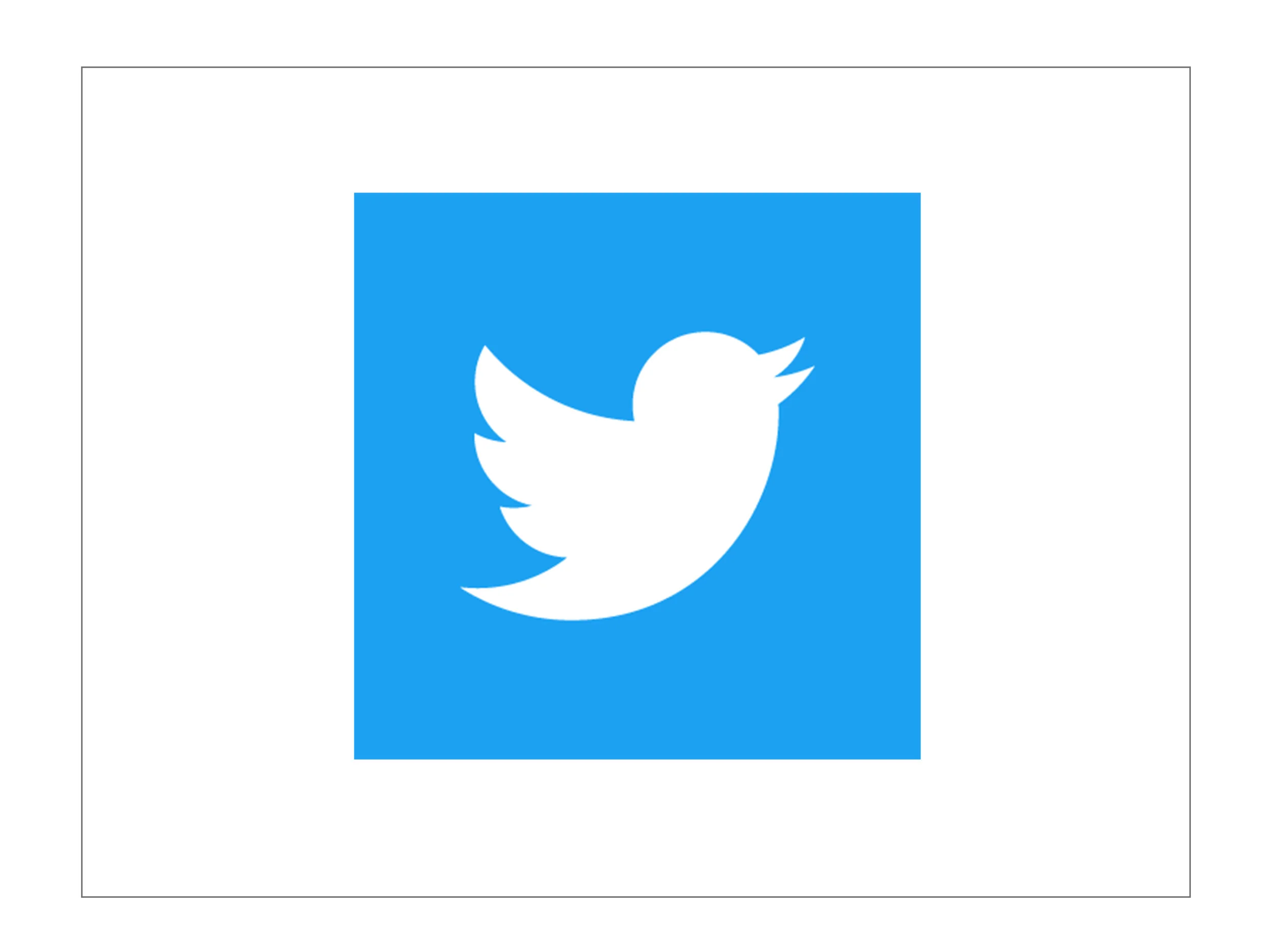 twitter.jpg