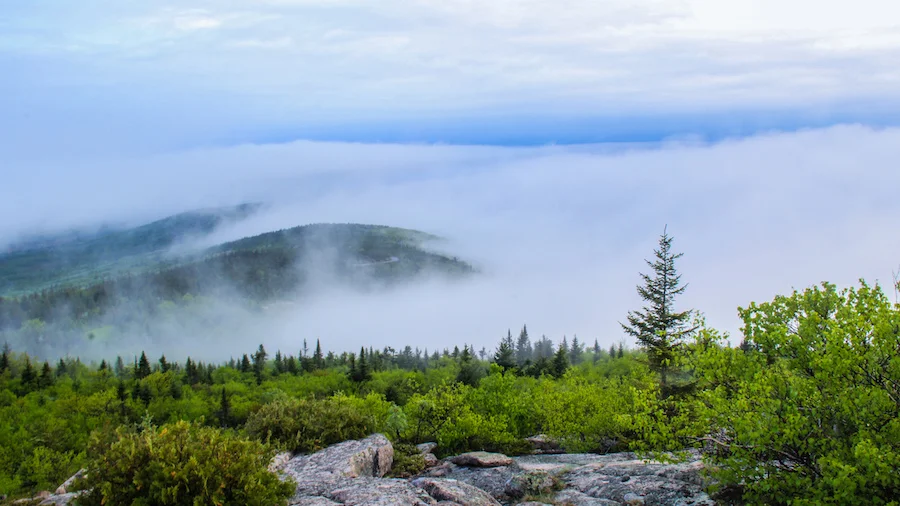 This is the view we got due to heavy clouds. Couldn't see the sunrise but it was still magnicifent.