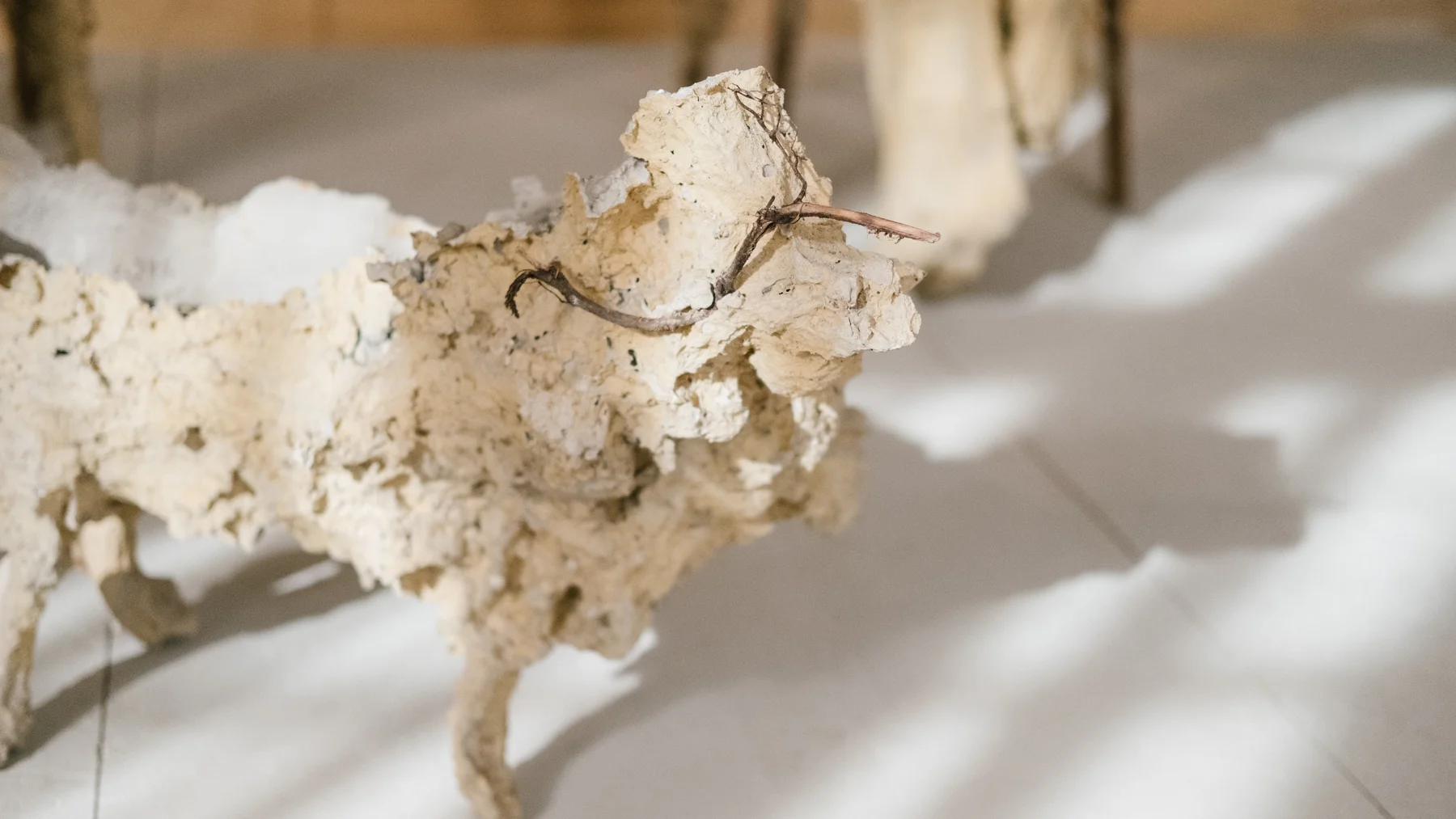 J. Zelinka - Document Installation, 2016