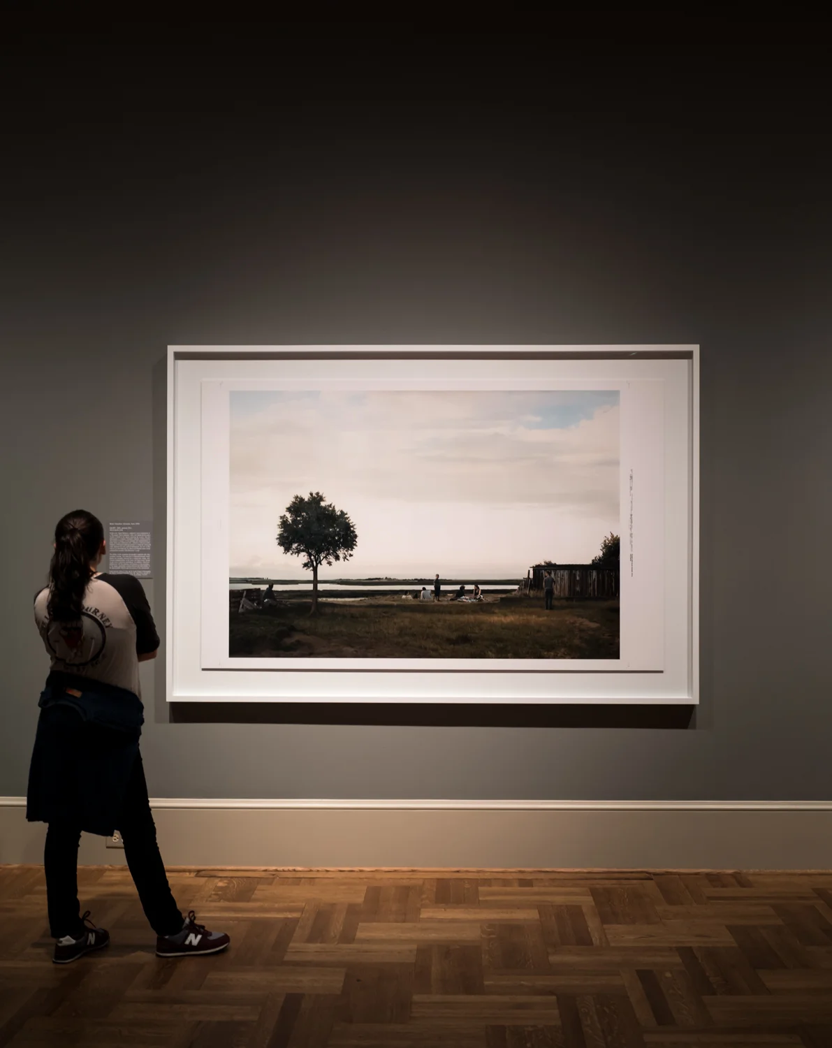 St. Louis Art Museum - A Decade of Collecting Prints, Drawings, and Photographs