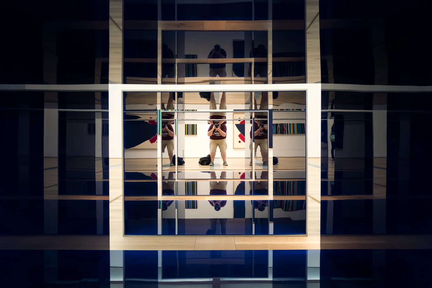 St. Louis Art Museum