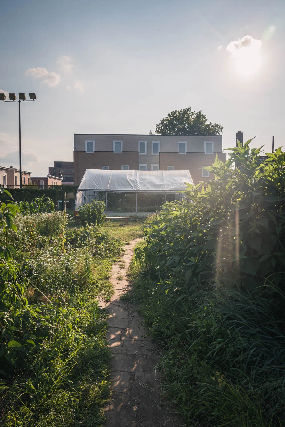 The greenhouse at Common Good City Farm, located in the LeDroit Park neighborhood of Washington D.C.