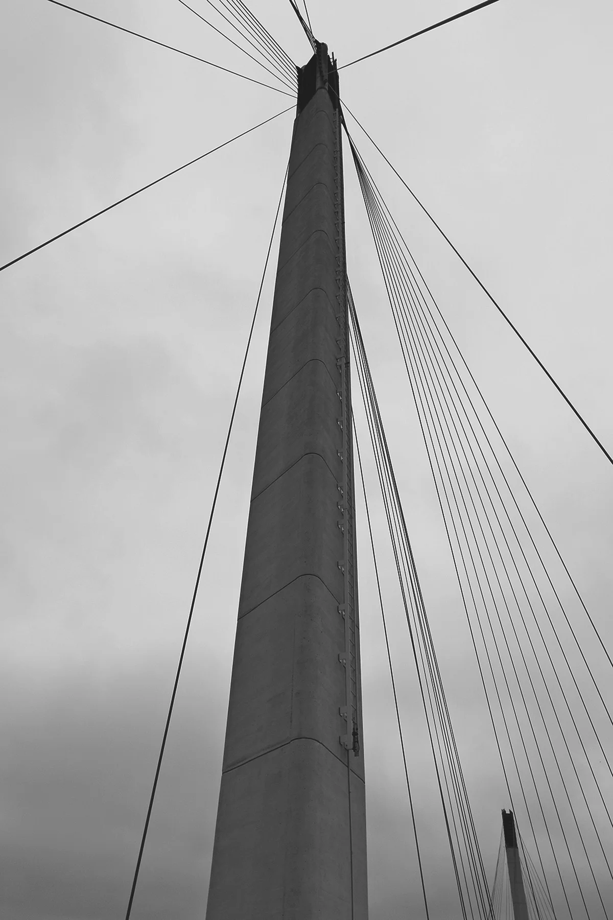 Web_28.jpg