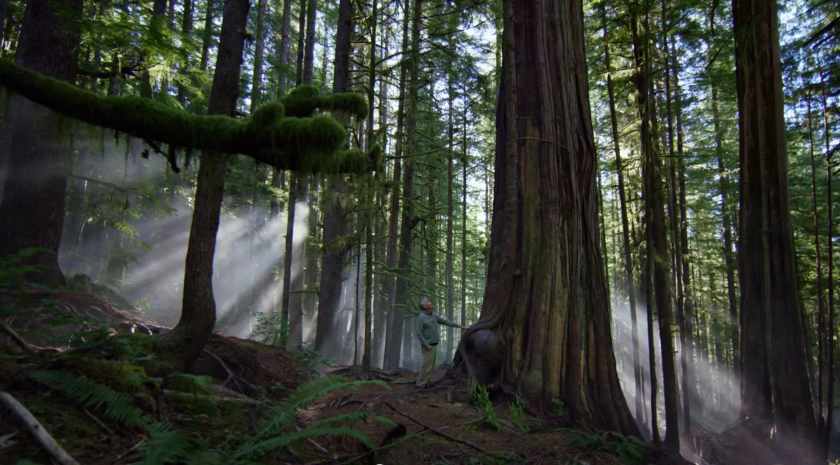 Tourism-BC-Video.jpg