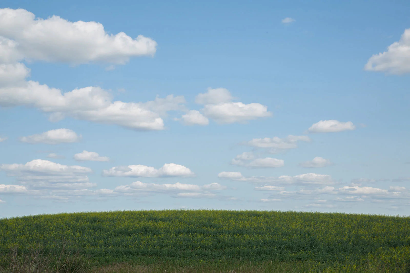 Stony Plain Alberta