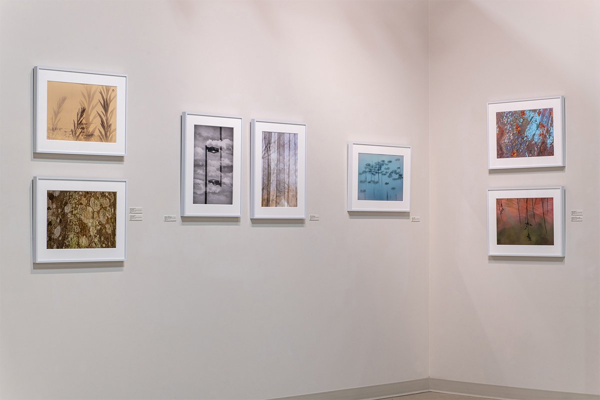 Bret Woodard Photography - Cove Street Arts -2.jpg