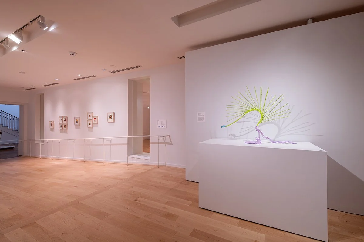 Colby Museum - Everyday Devotions - Bret Woodard Photography-81.jpg