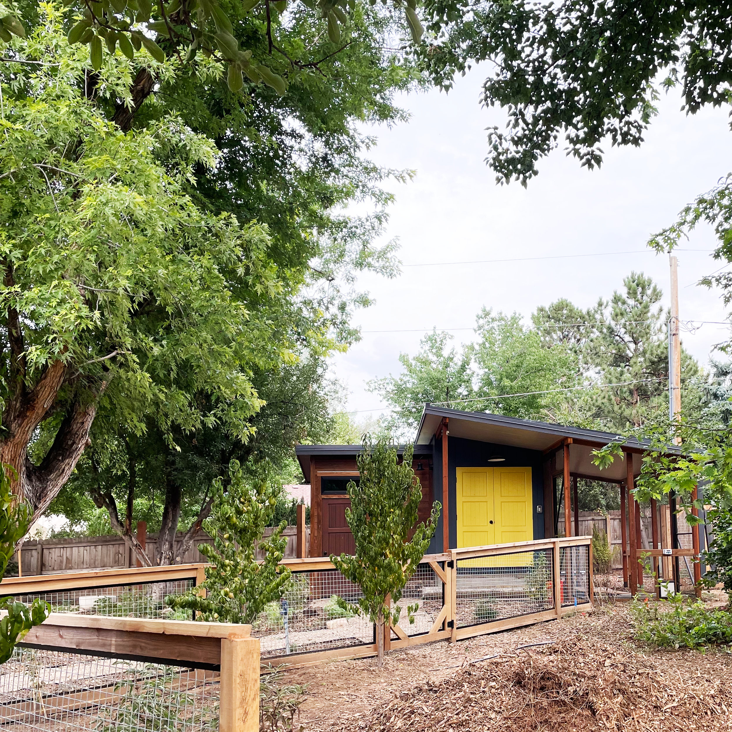Chicken Coop Yellow Door copy.png