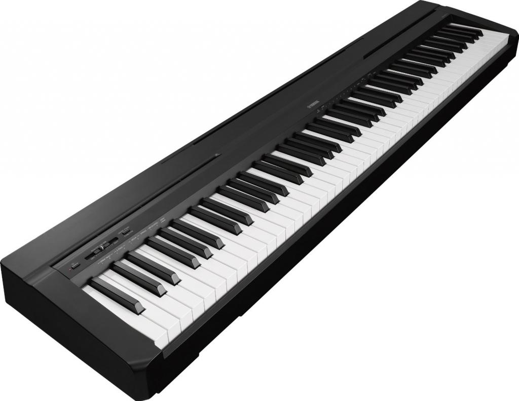 An electronic keyboard.